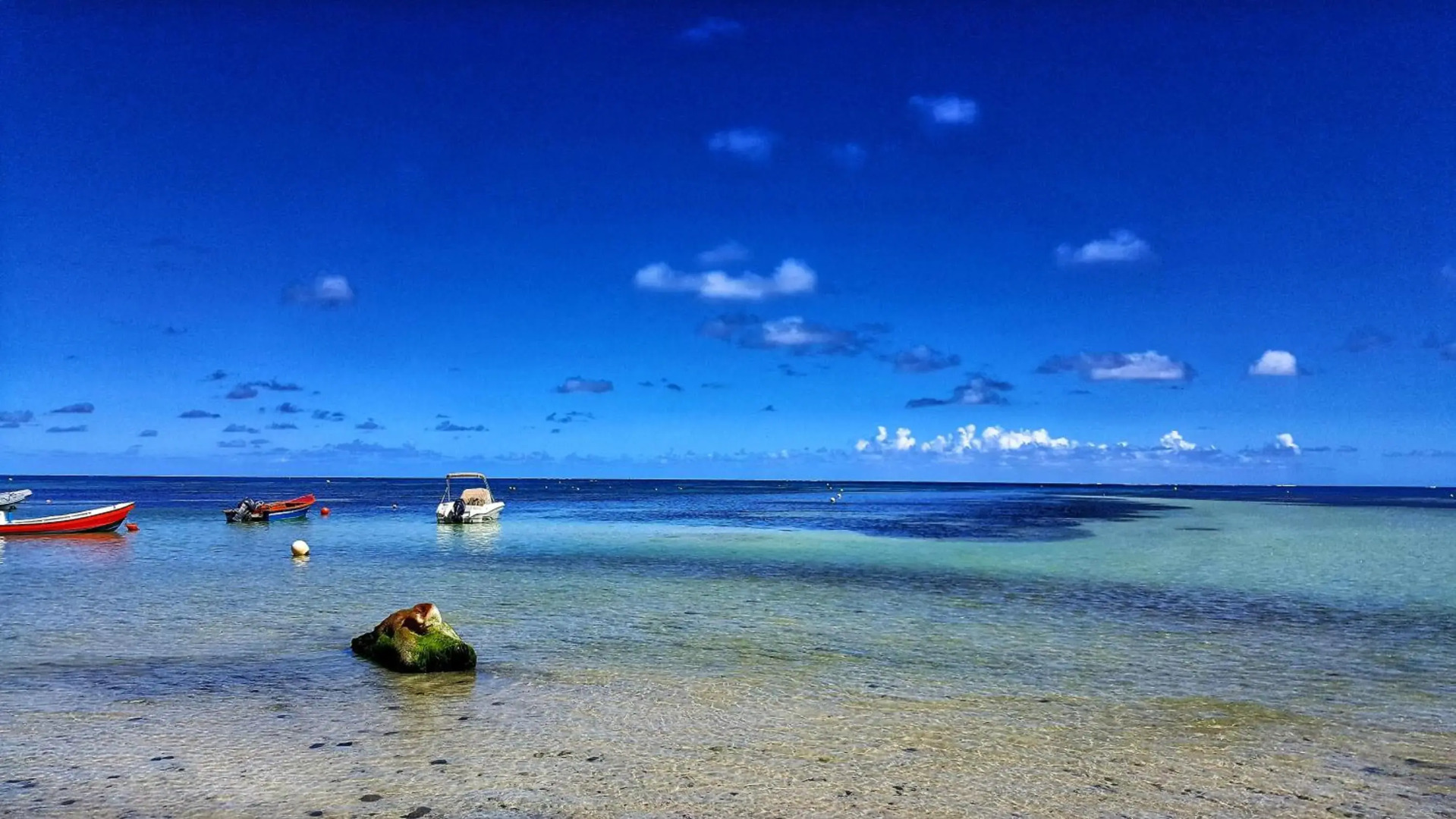 Studio Frangipani dans Villa Fleurs des Iles