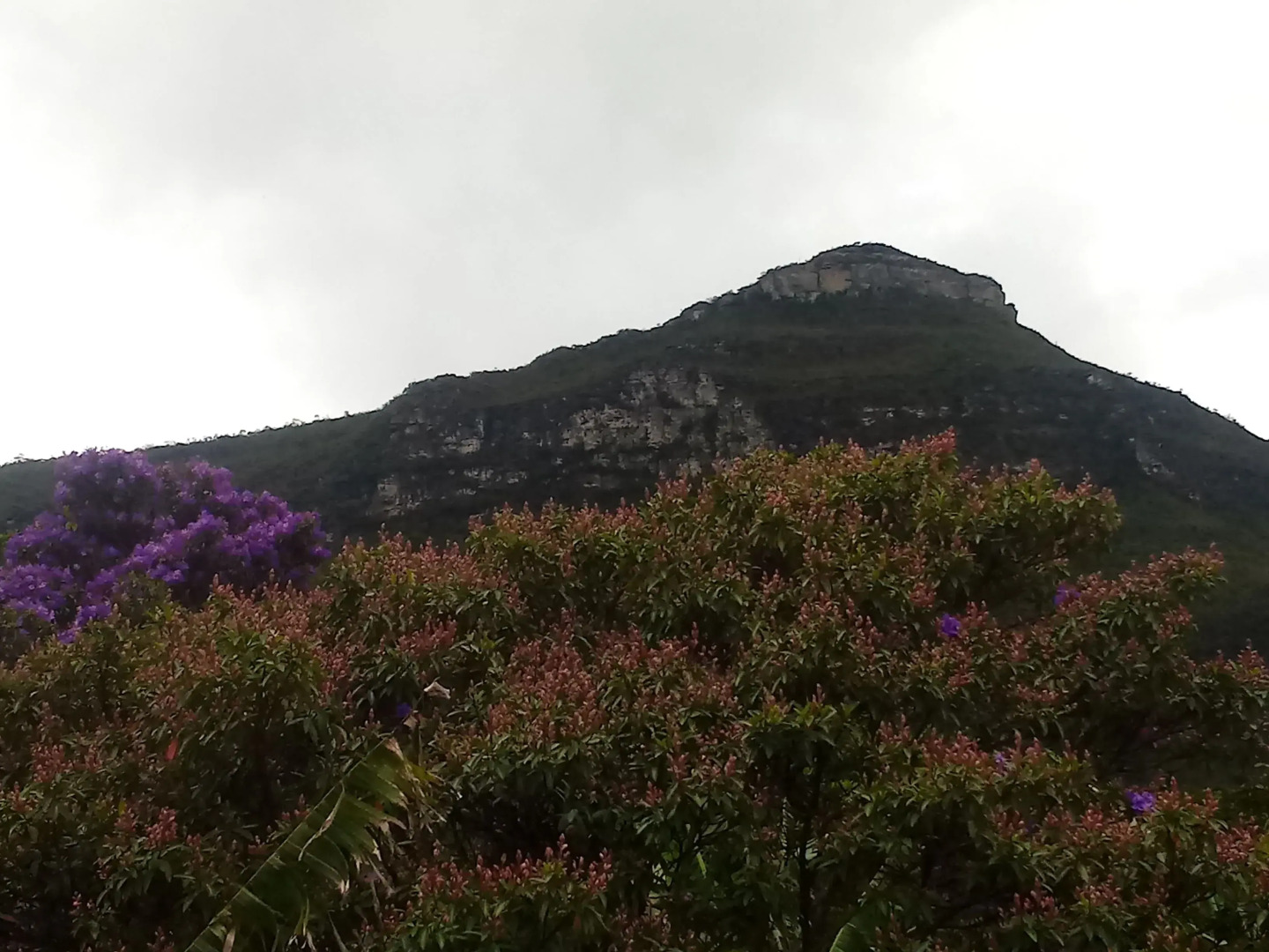 Hospedagem João de Barro