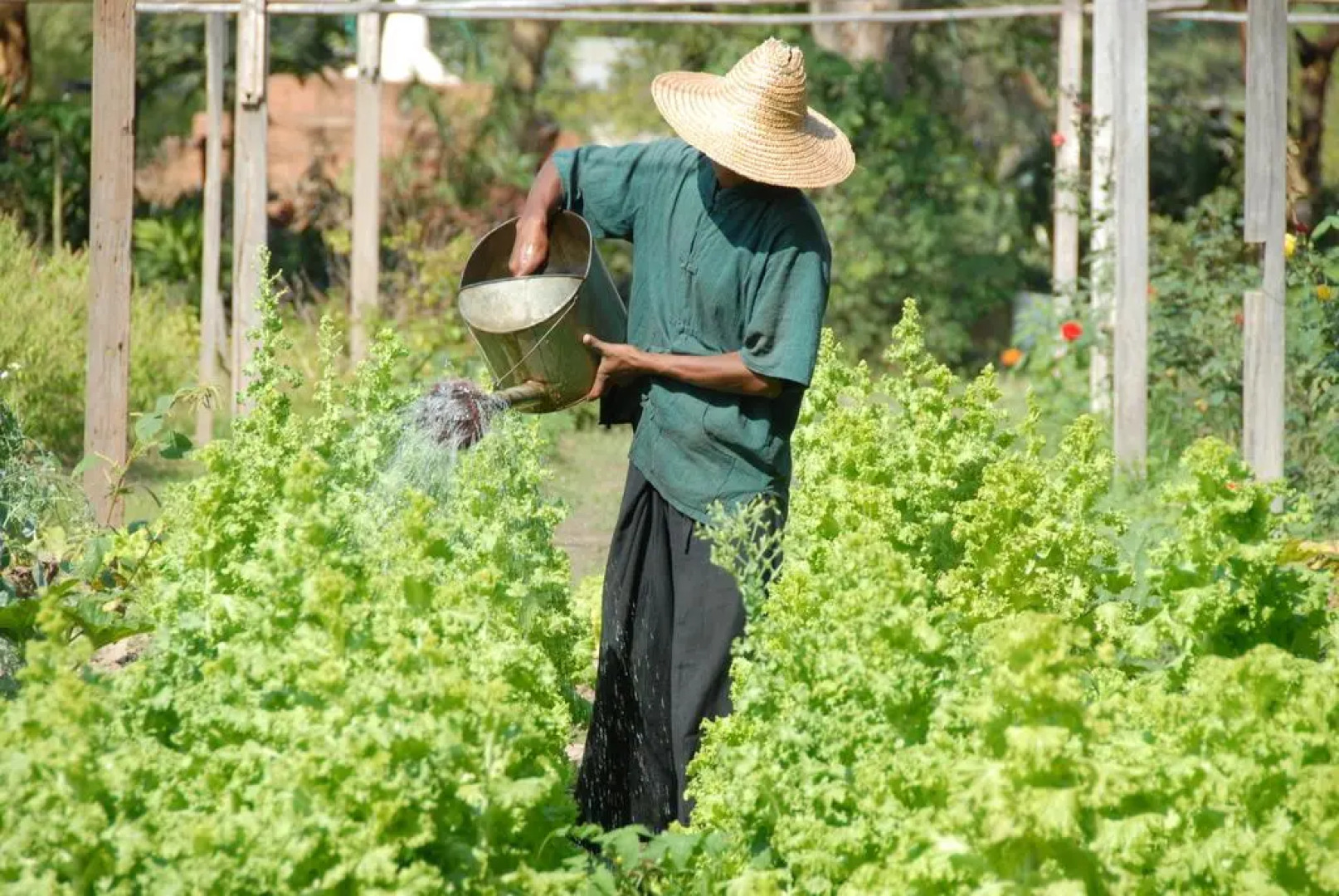 Bagan Thiripyitsaya Sanctuary Resort