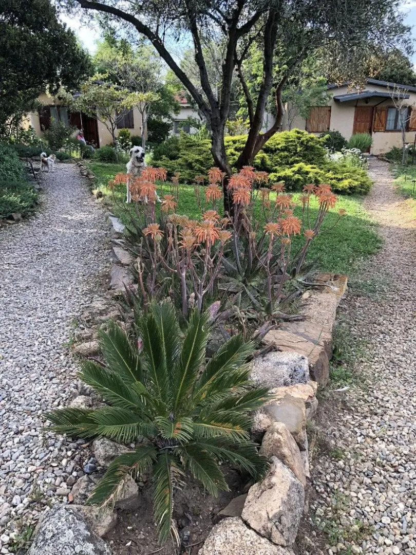 La Cerca Del Alcornoque