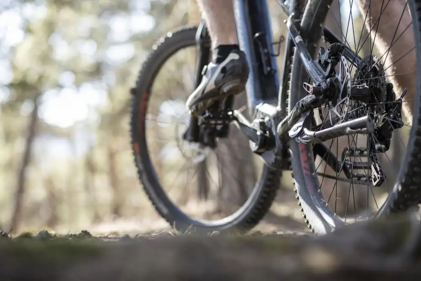 Hotel Belvedere- Fine Dining & SPA