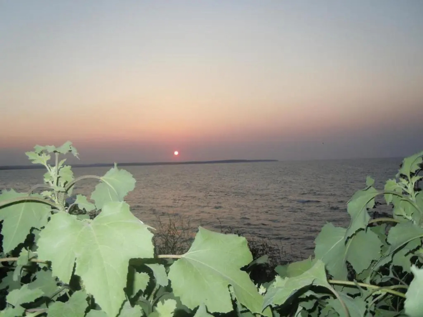 Hamsilos Tatil Koyu & Apart Hotel