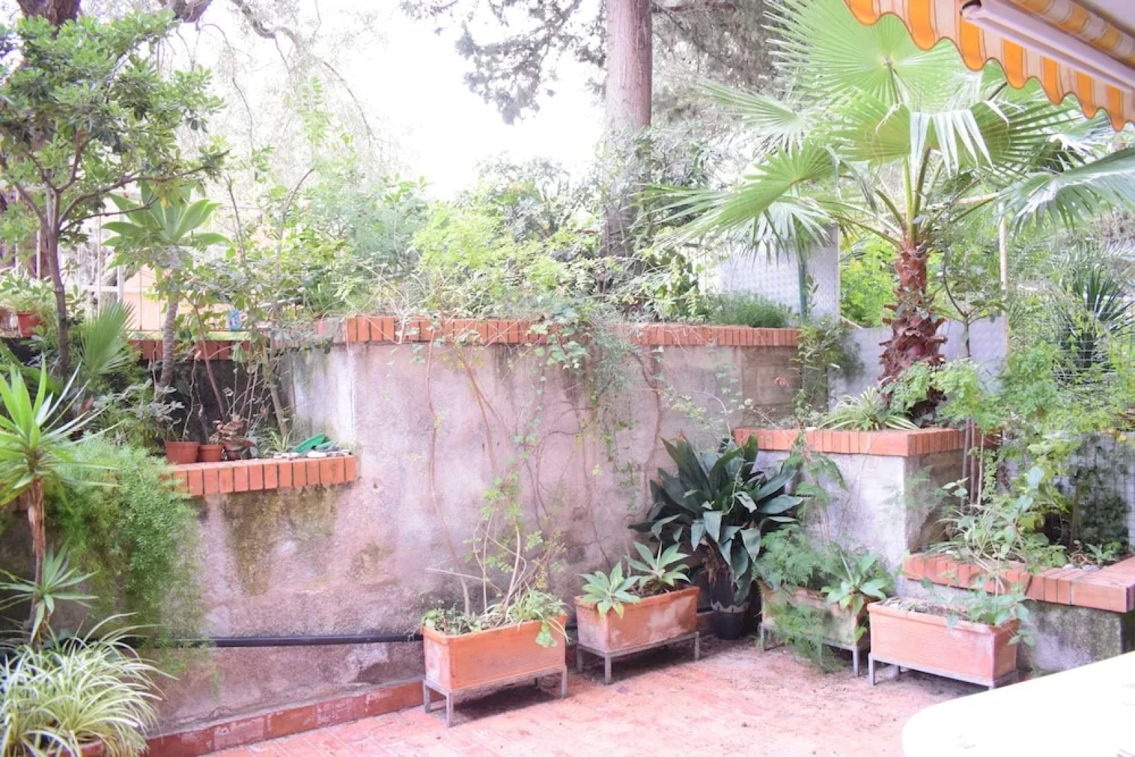 Casa Vacanza Letojanni Mare