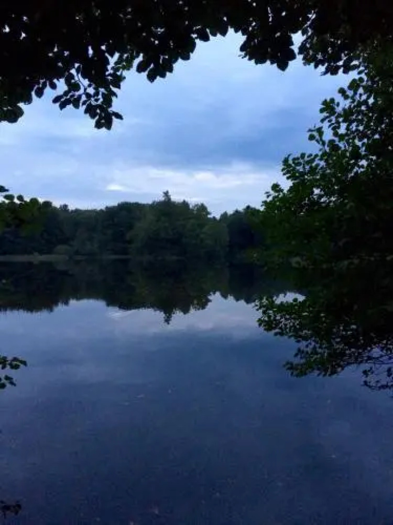 Three-Bedroom Holiday home in Örkeljunga 1