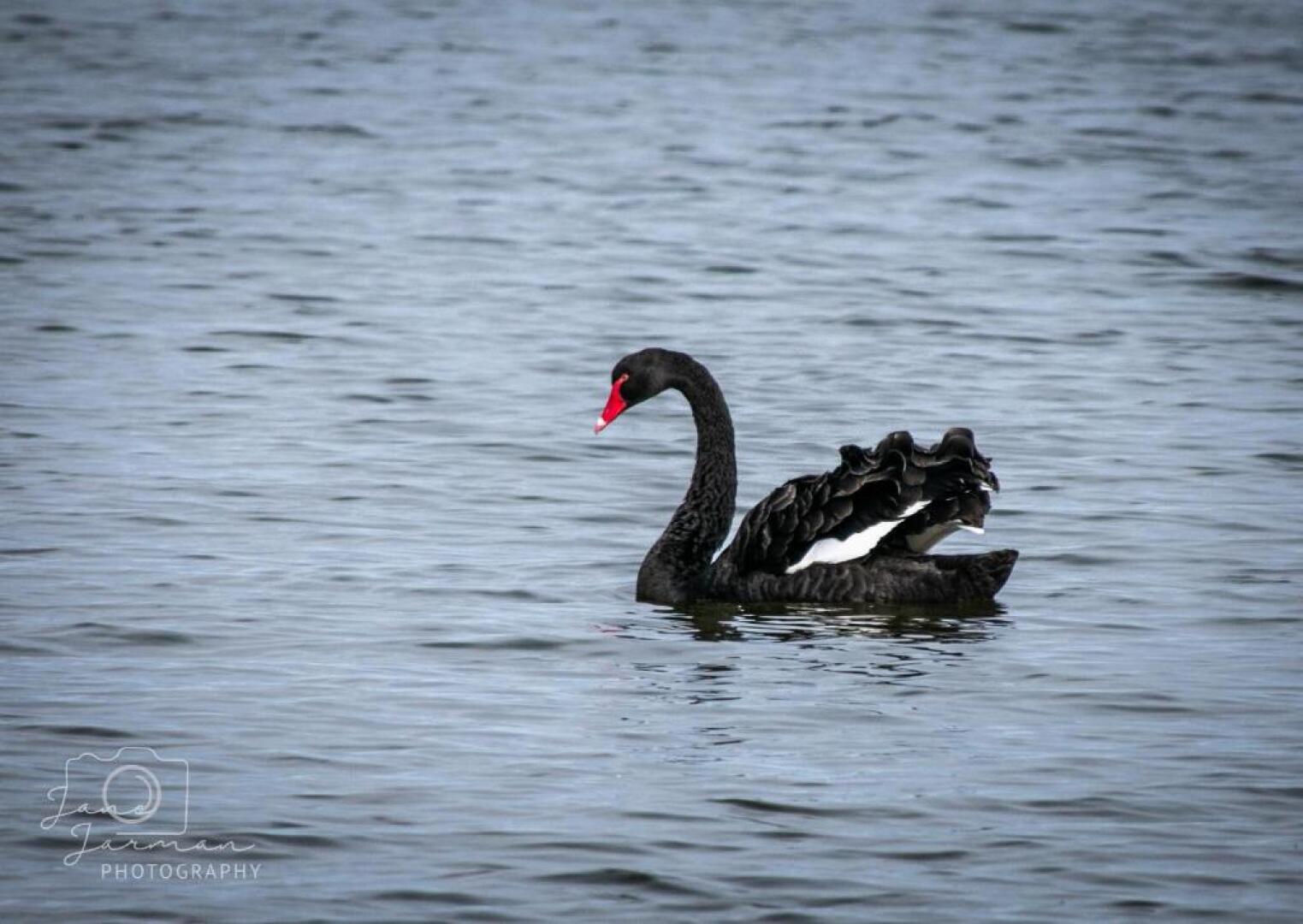 Waterfront Retreat At Wattle Point