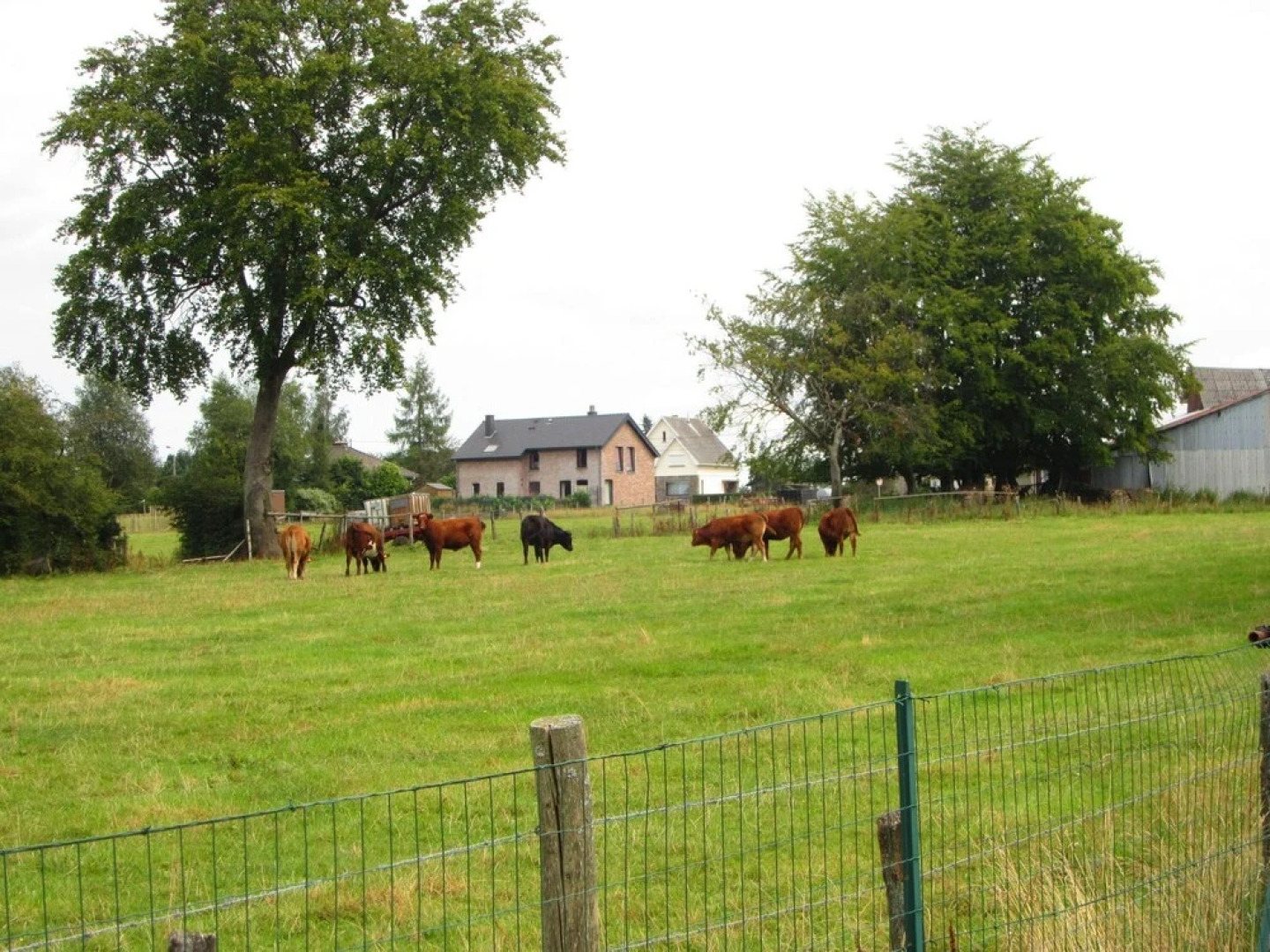 Modern Holiday Home in Robertville with Garden