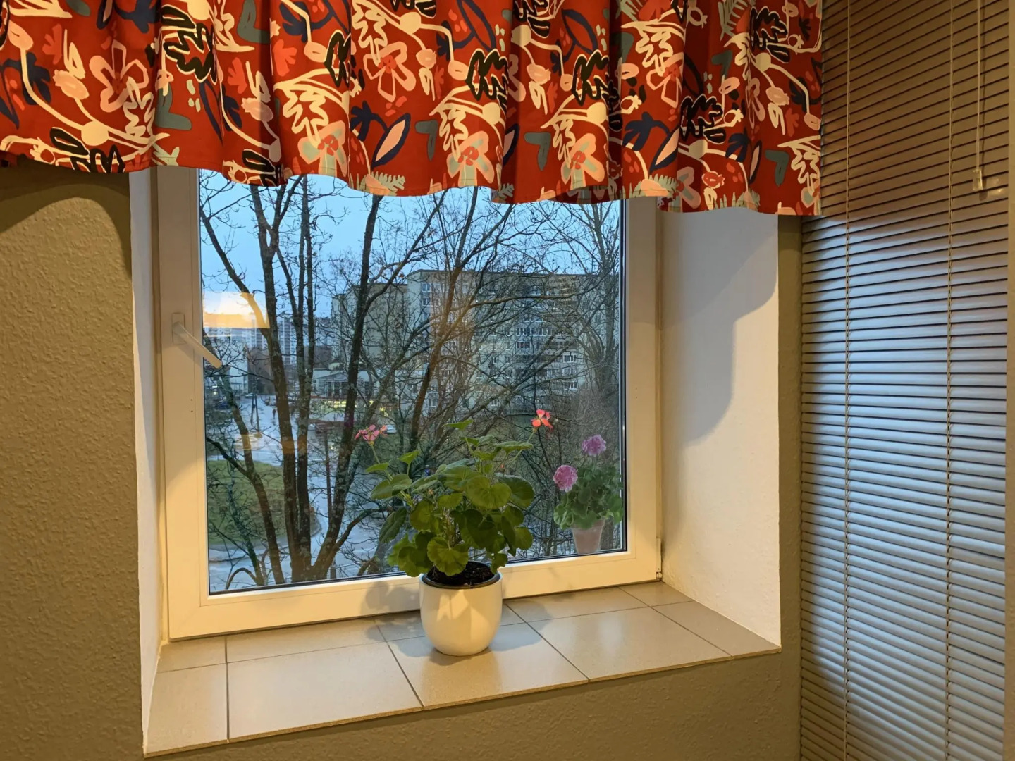 NewStory (НьюСтори) в 1-м микрорайоне