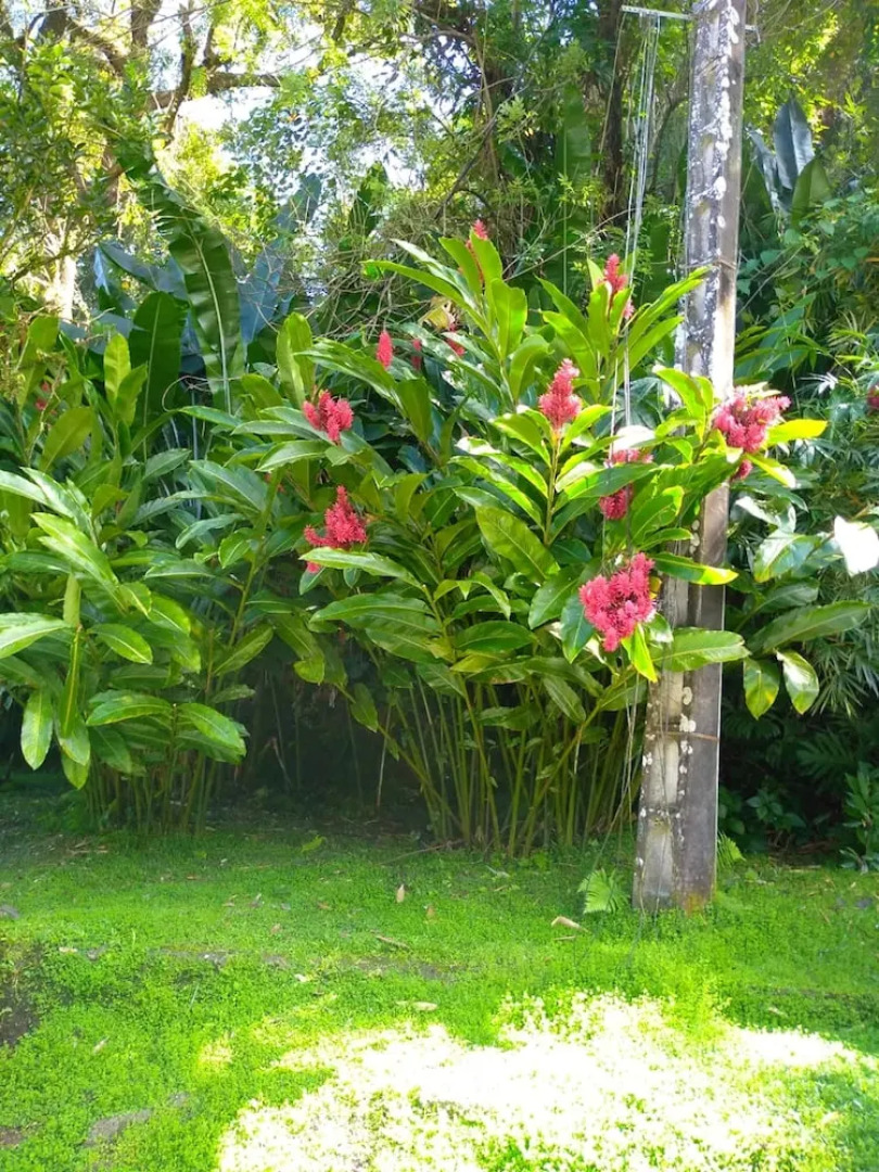 Studio In Schoelcher With Enclosed Garden And Wifi