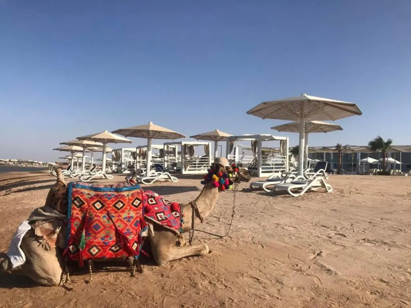 Selena Bay Spa&Resort