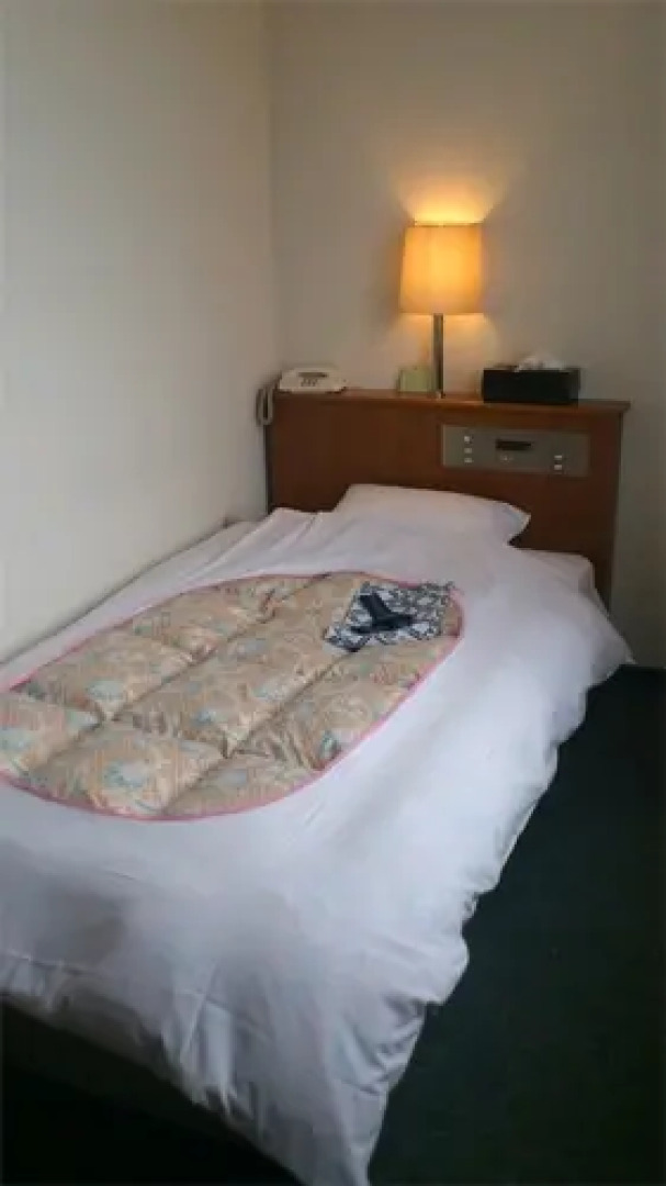 Business Hotel Shell