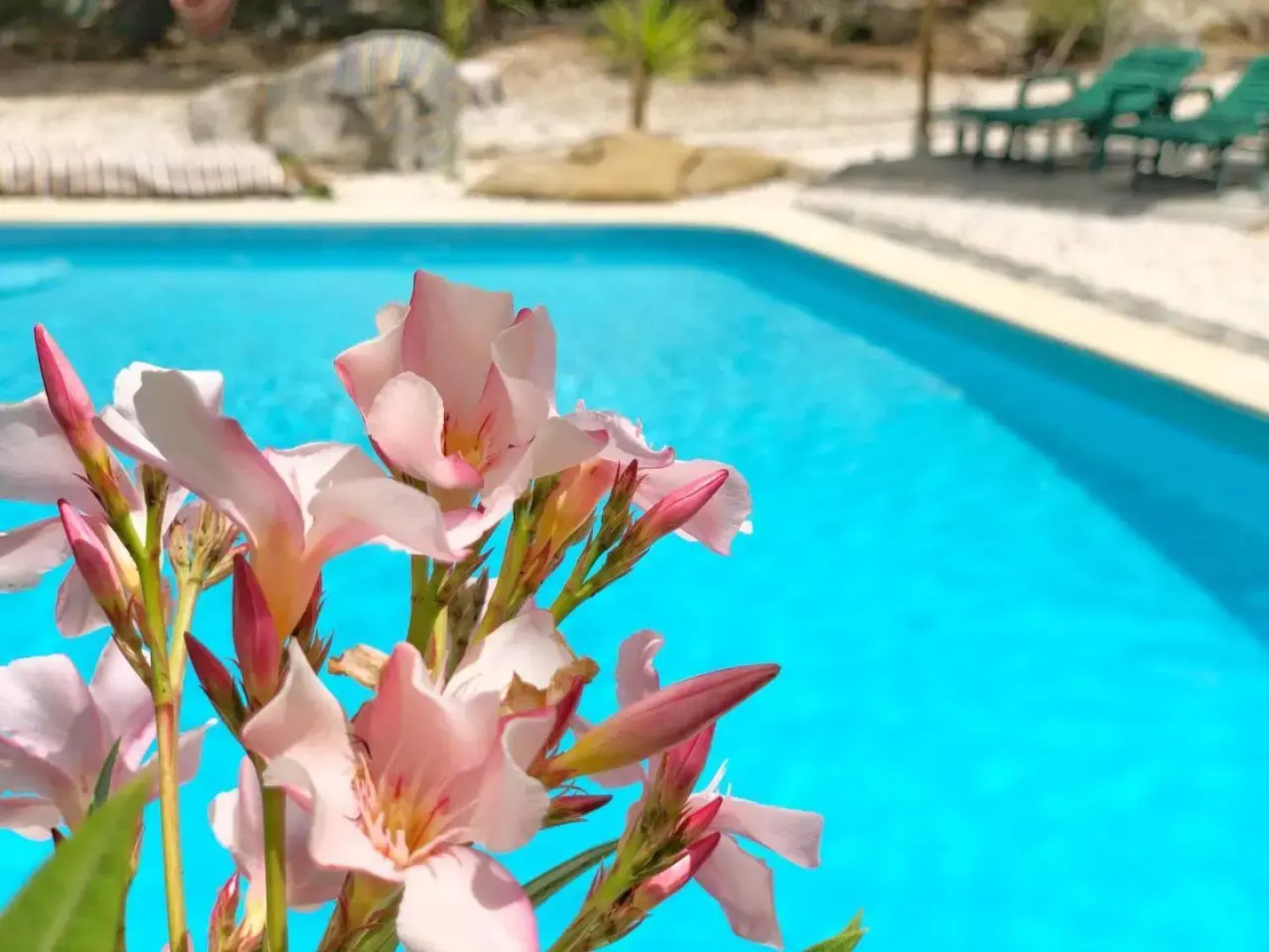 Casa Rico Frade Garden