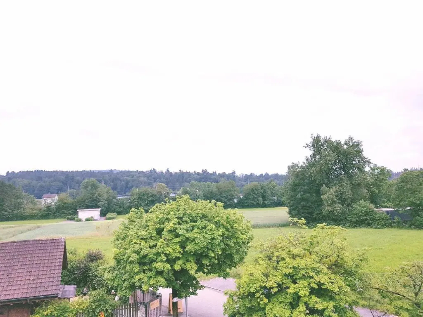 Easy-Living Buholz Hoch 12