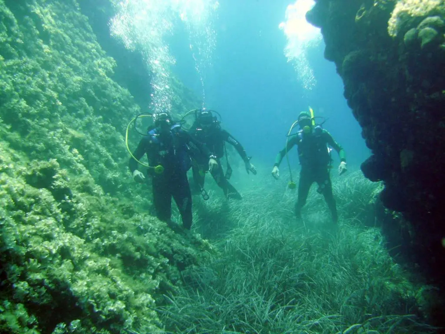 Avantis Suites Hotel