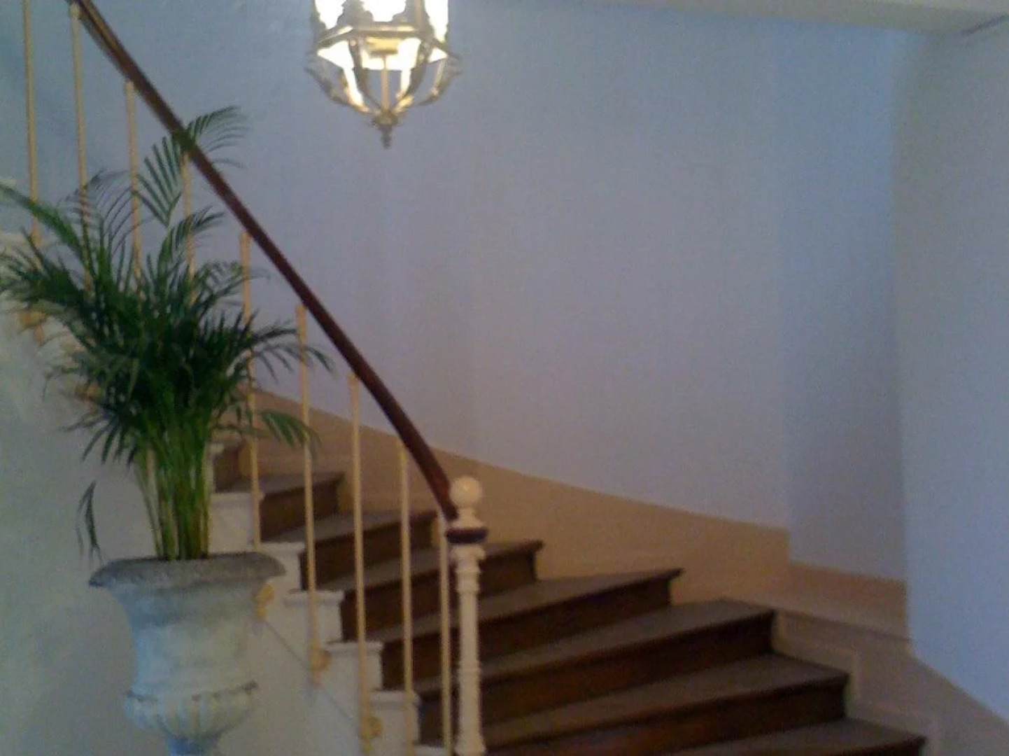 Top Meublés Locations