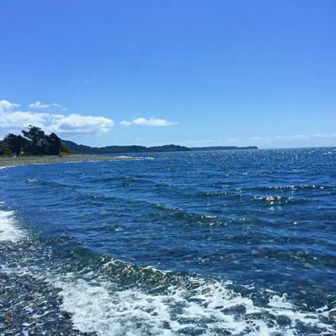 Parque Hostal Los Cahueles de Quicavi