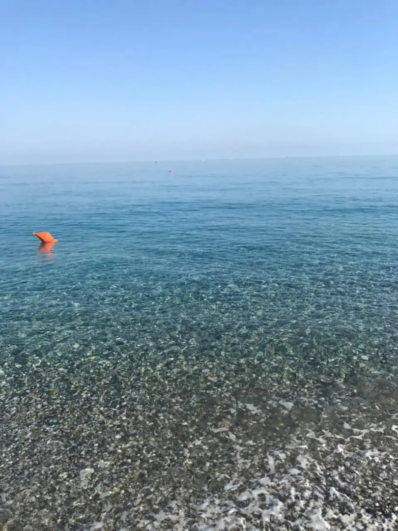 Venetico Il Gatto E La Volpe 2