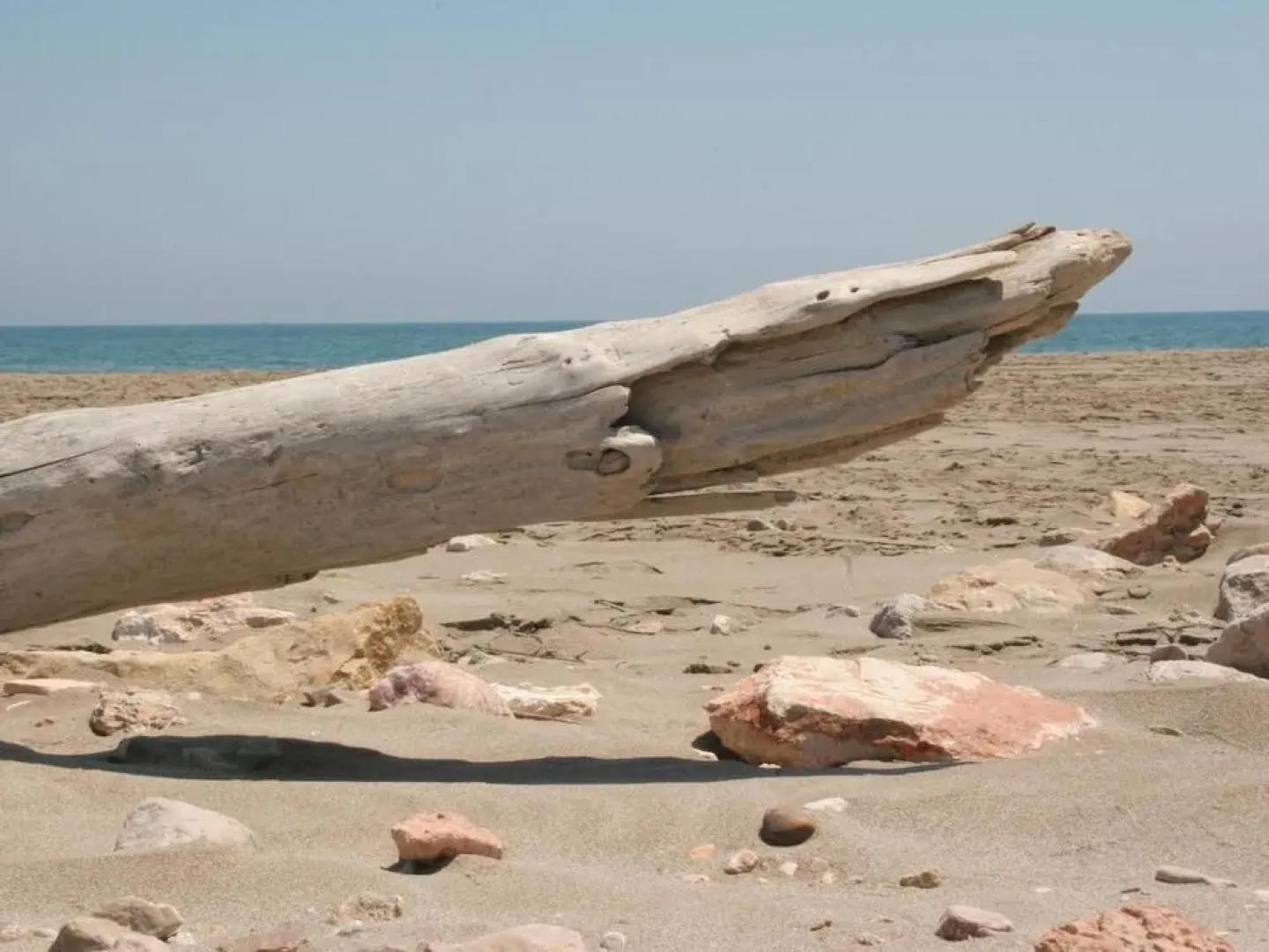 B&B Casa Rural Mas del Rey