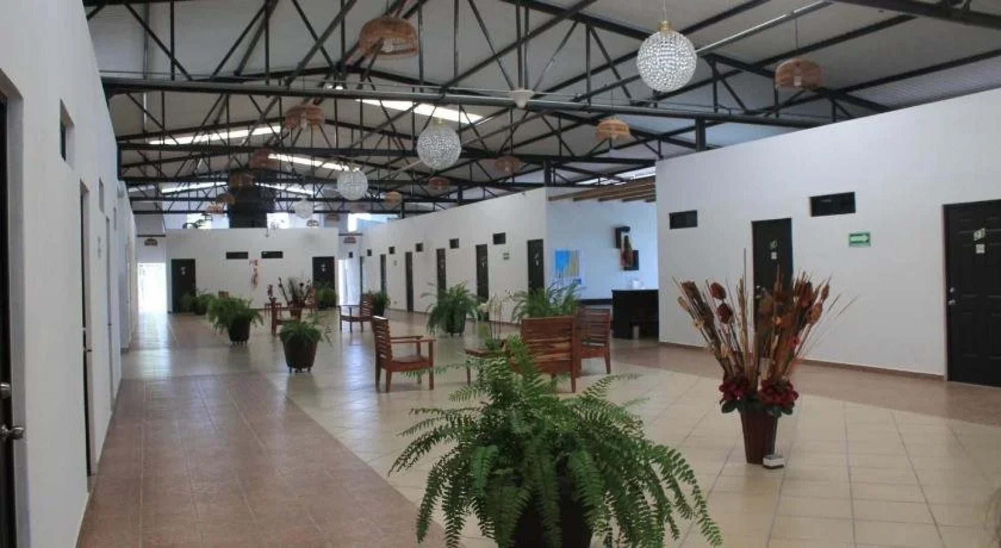 Real Primaveras Campestre