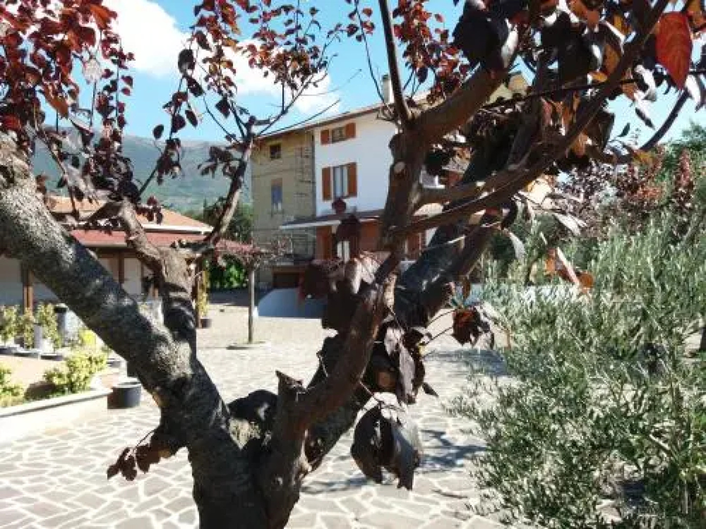 Bed & Breakfast Ciancaleoni