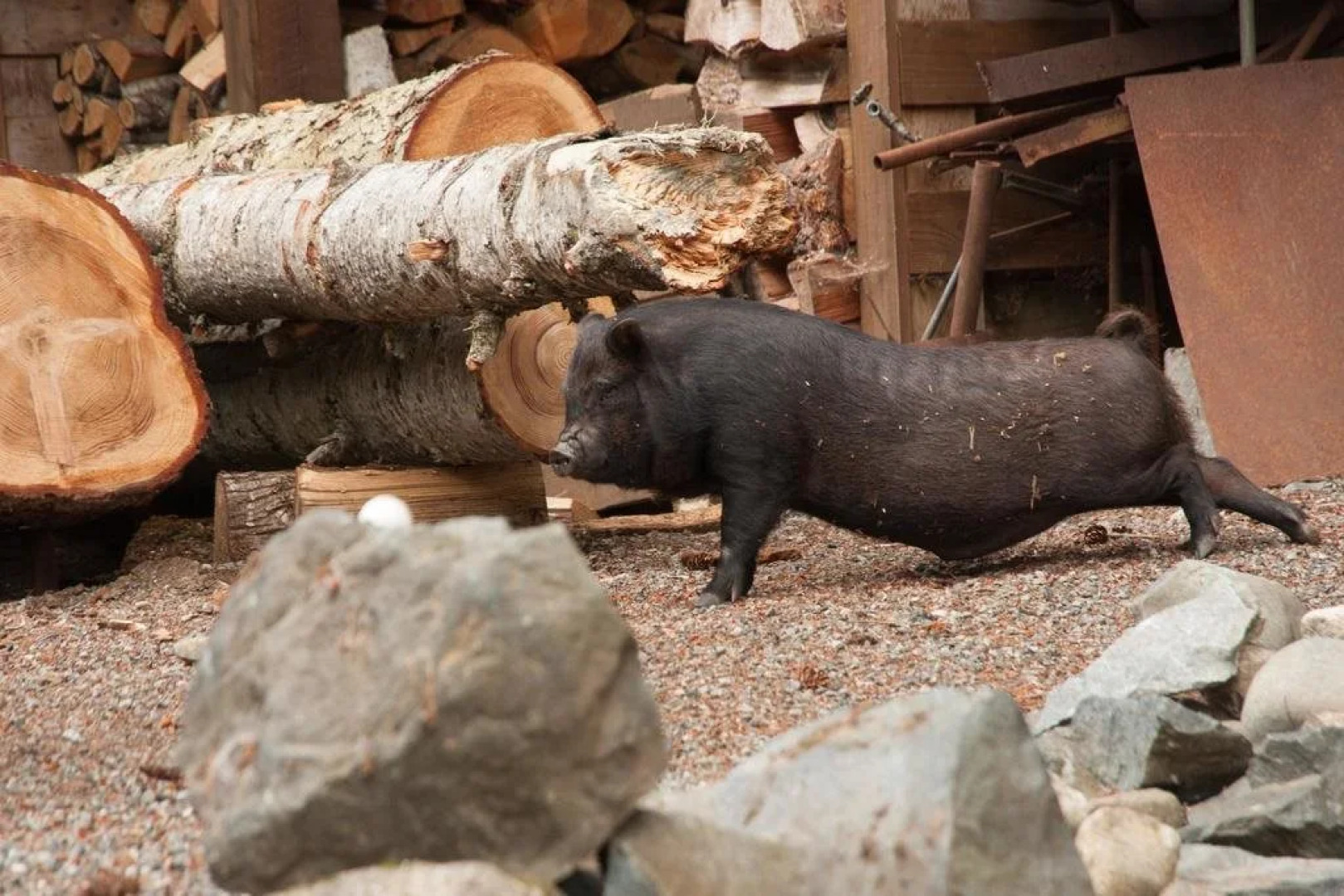 Cowichan Valley Hostel