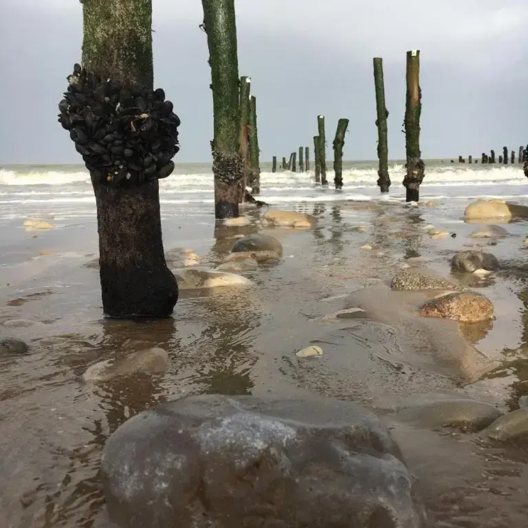 Les Bains Boyardville Hotel Et Restaurant