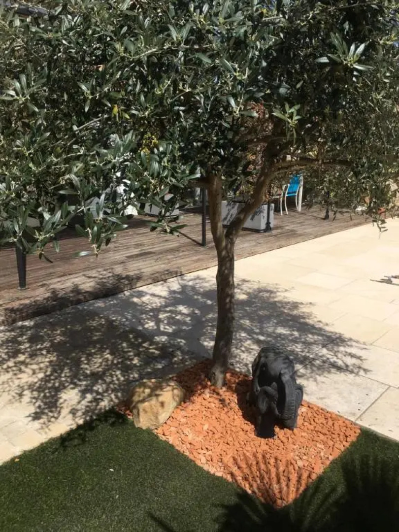 Appartement duplex meublé avec vue sur piscine