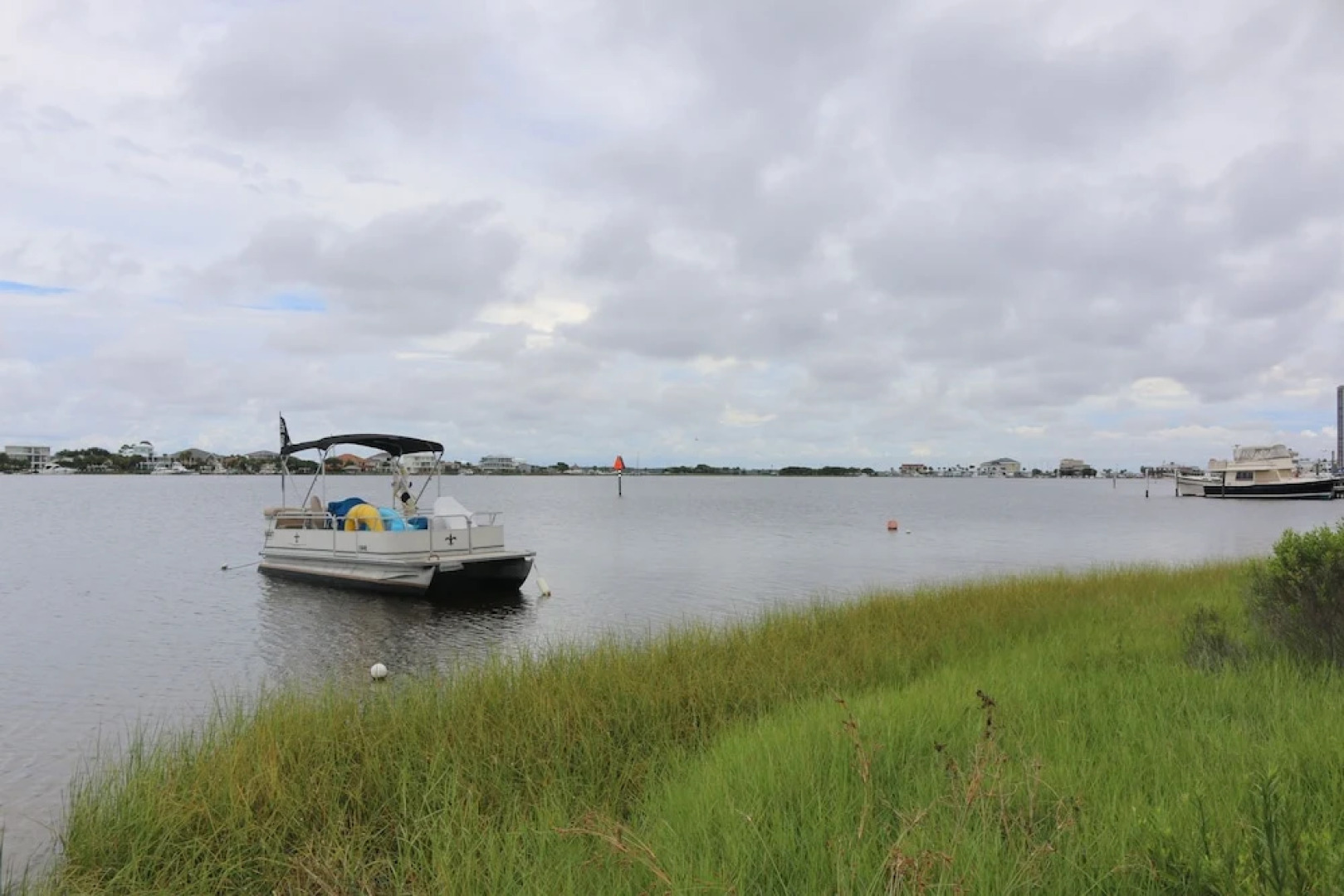 Sand Dollar by Surfside VR