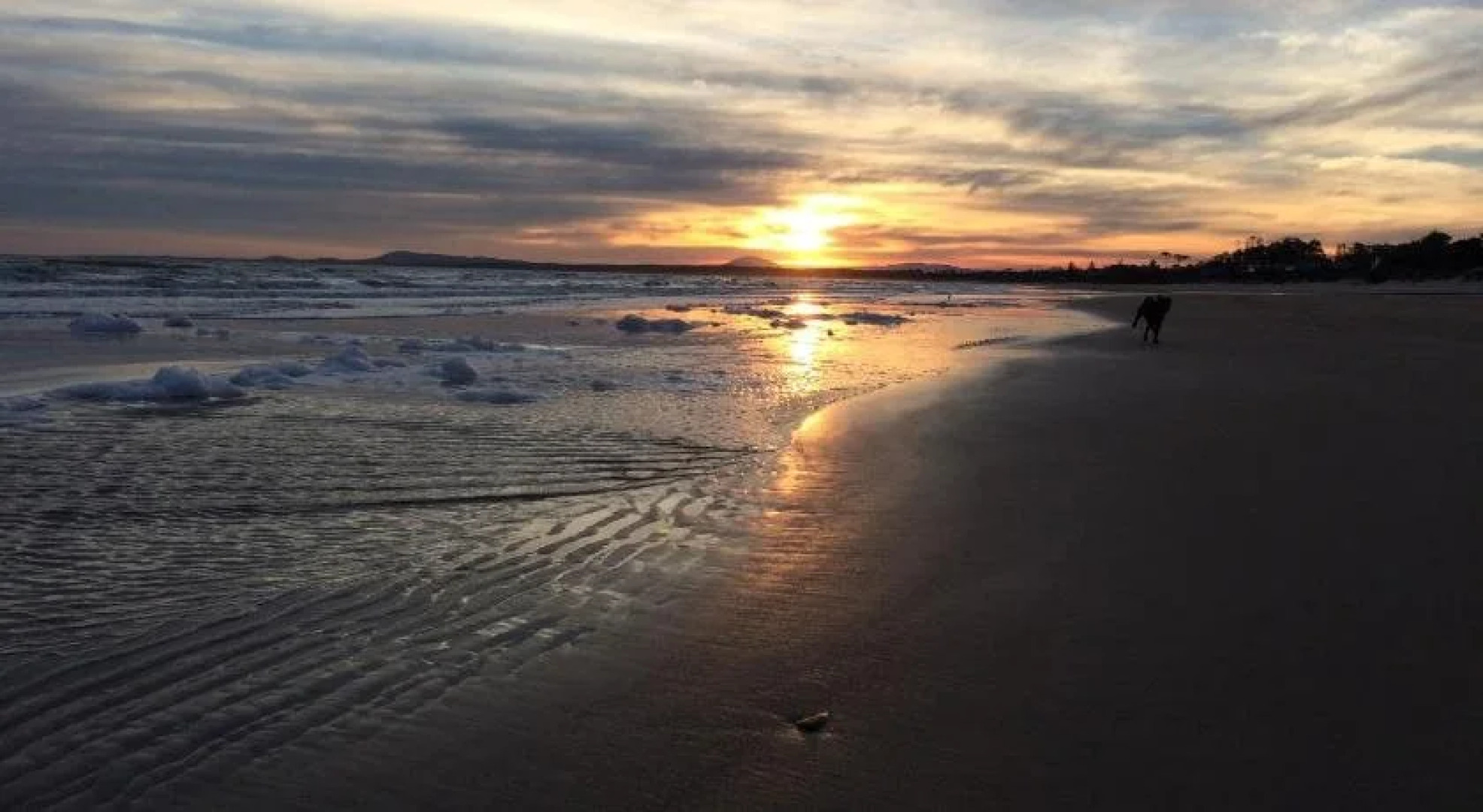 Hostel Punta Ballena Bar