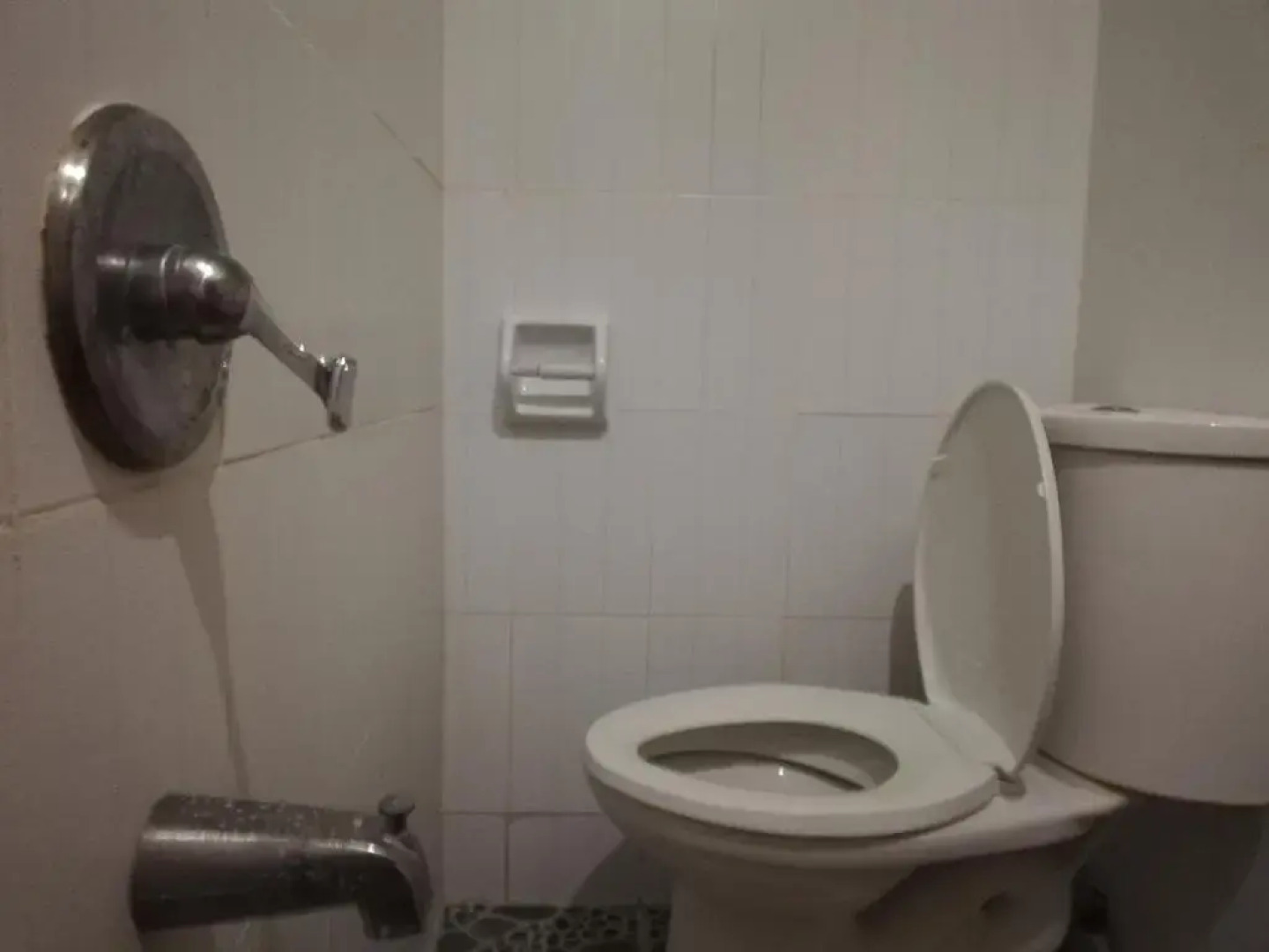 Vievan's transient house