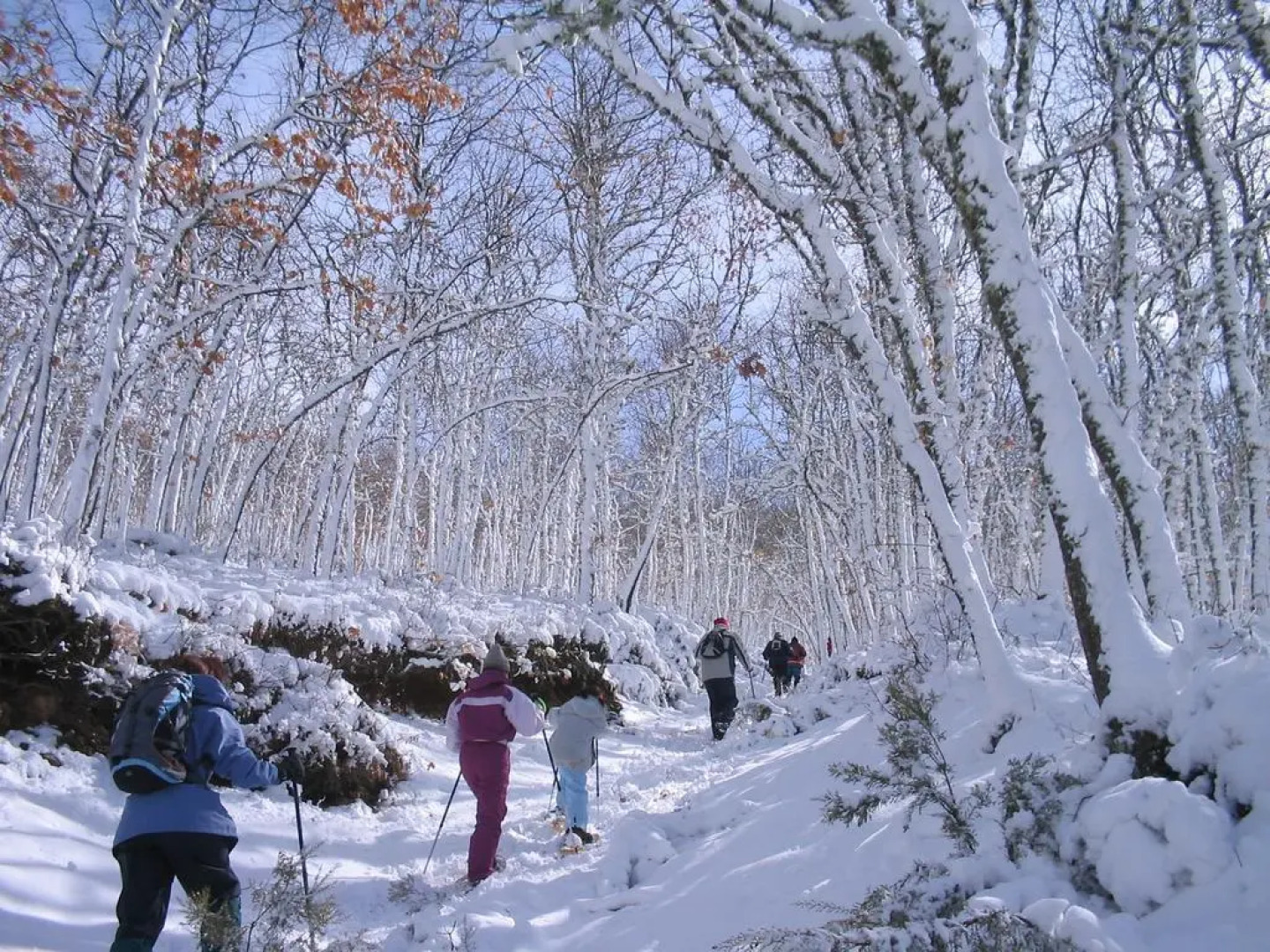 Hotel Rural Aguallevada