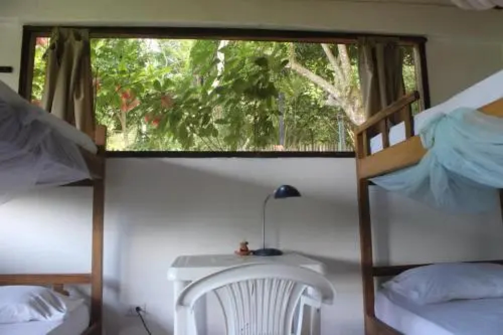 Jaguar Azul Palomino