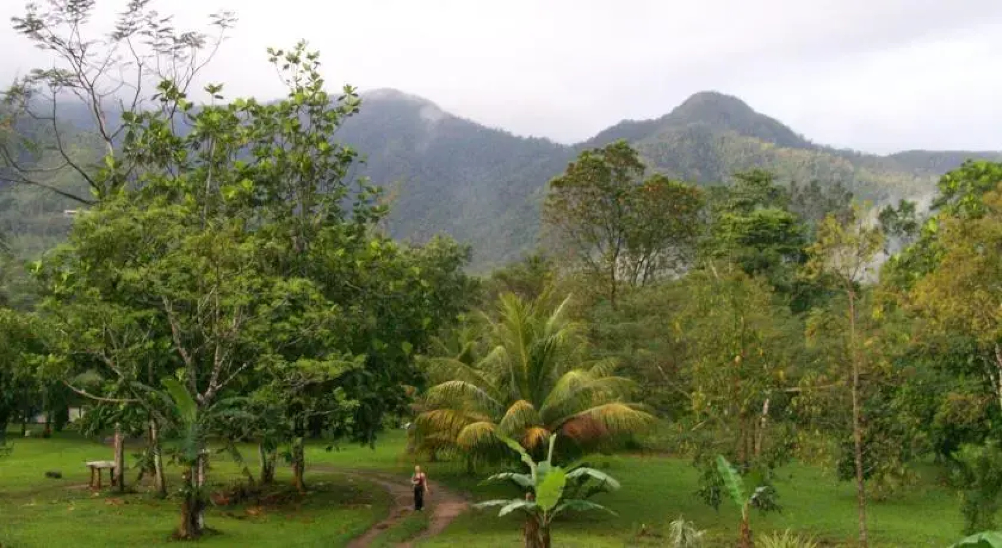Hummingbird Guest Lodge & Hostel
