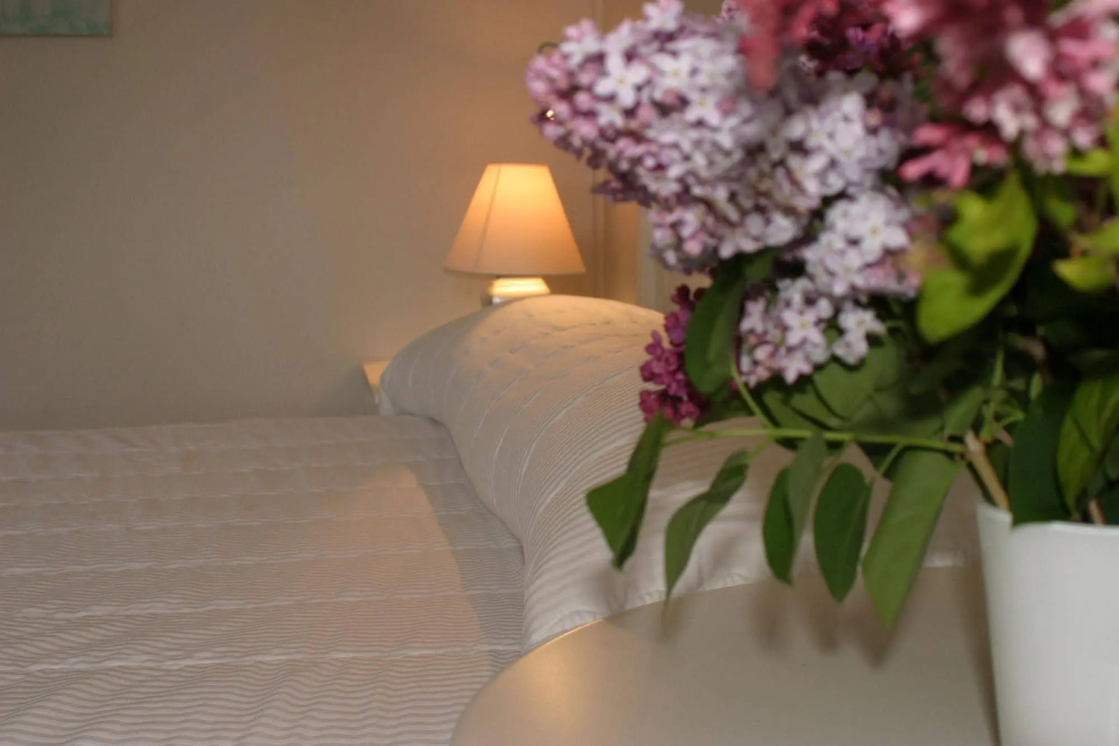 Hotel Motel Le Beluga