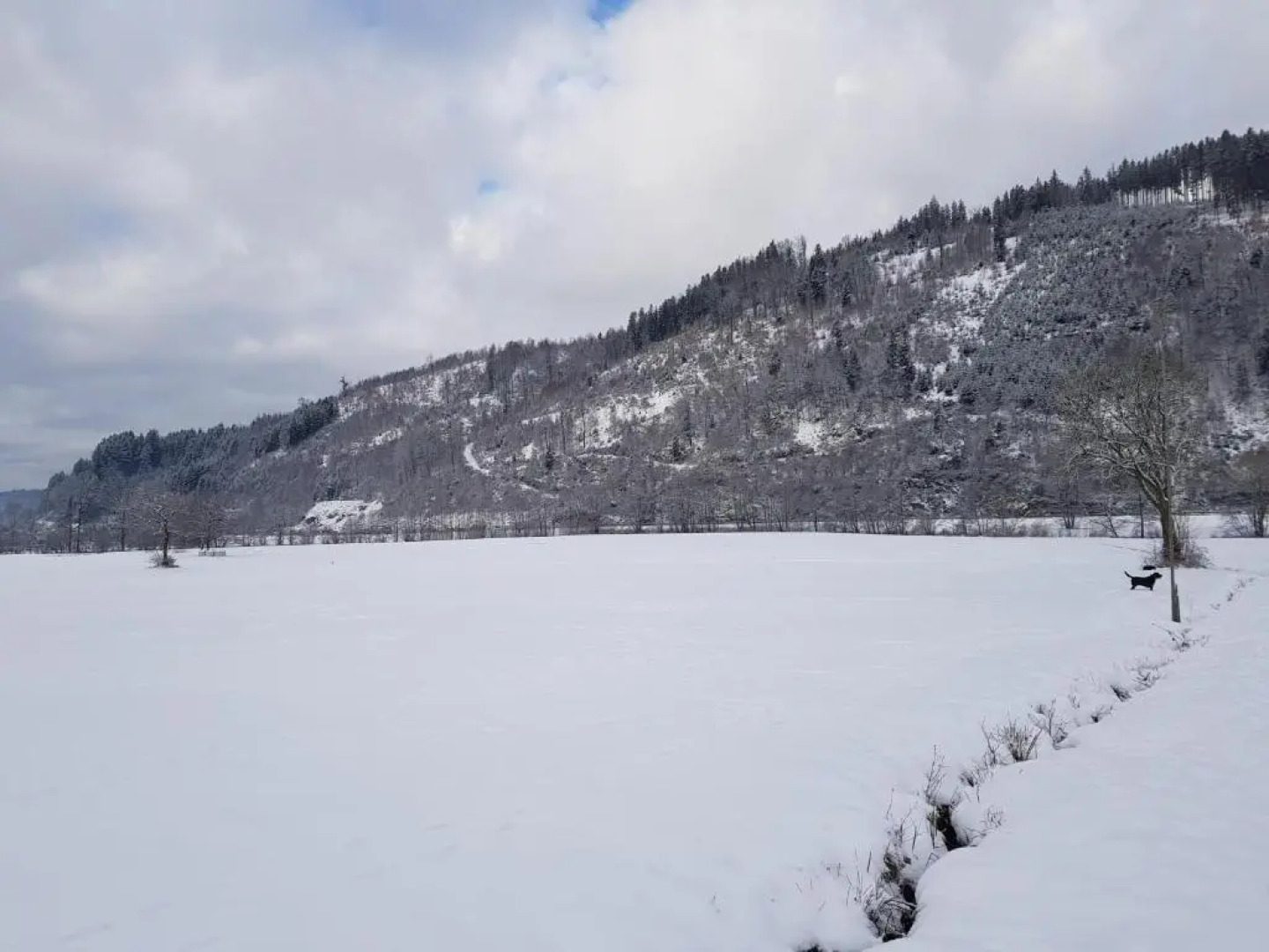 modernes Appartement Schwarzwald Nähe Freiburg