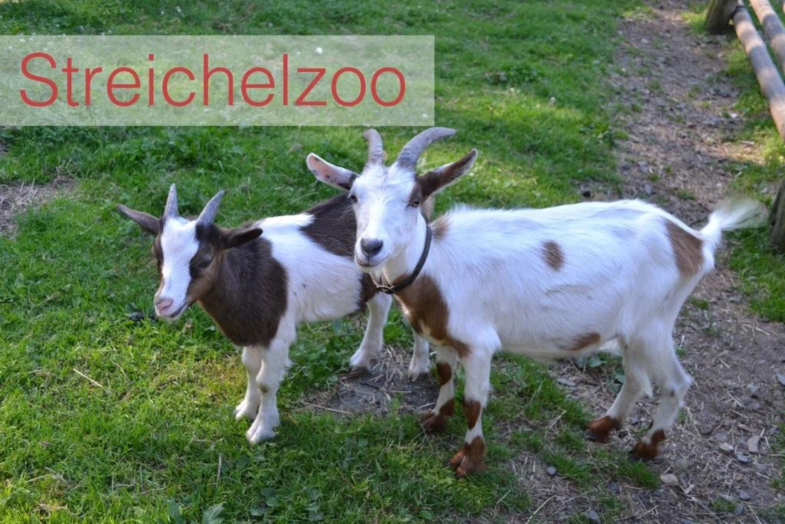 Freizeitzentrum Römerhütte