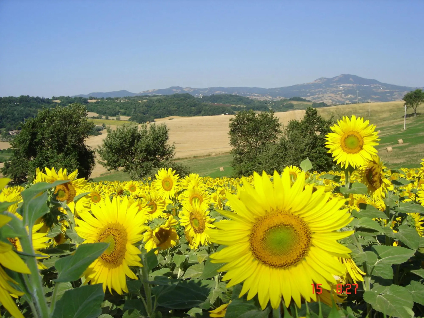 Farmhouse in Proceno With Pool and Hill Views