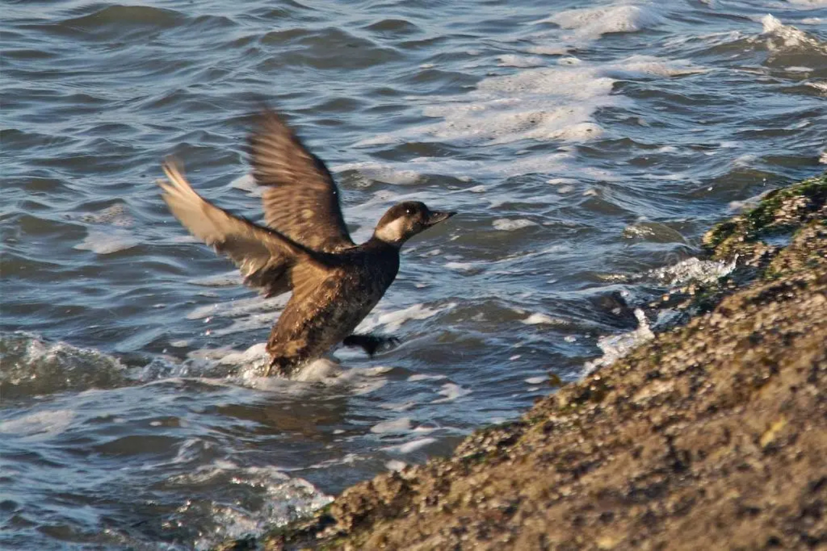 Seevilla Wietjes Whg 6