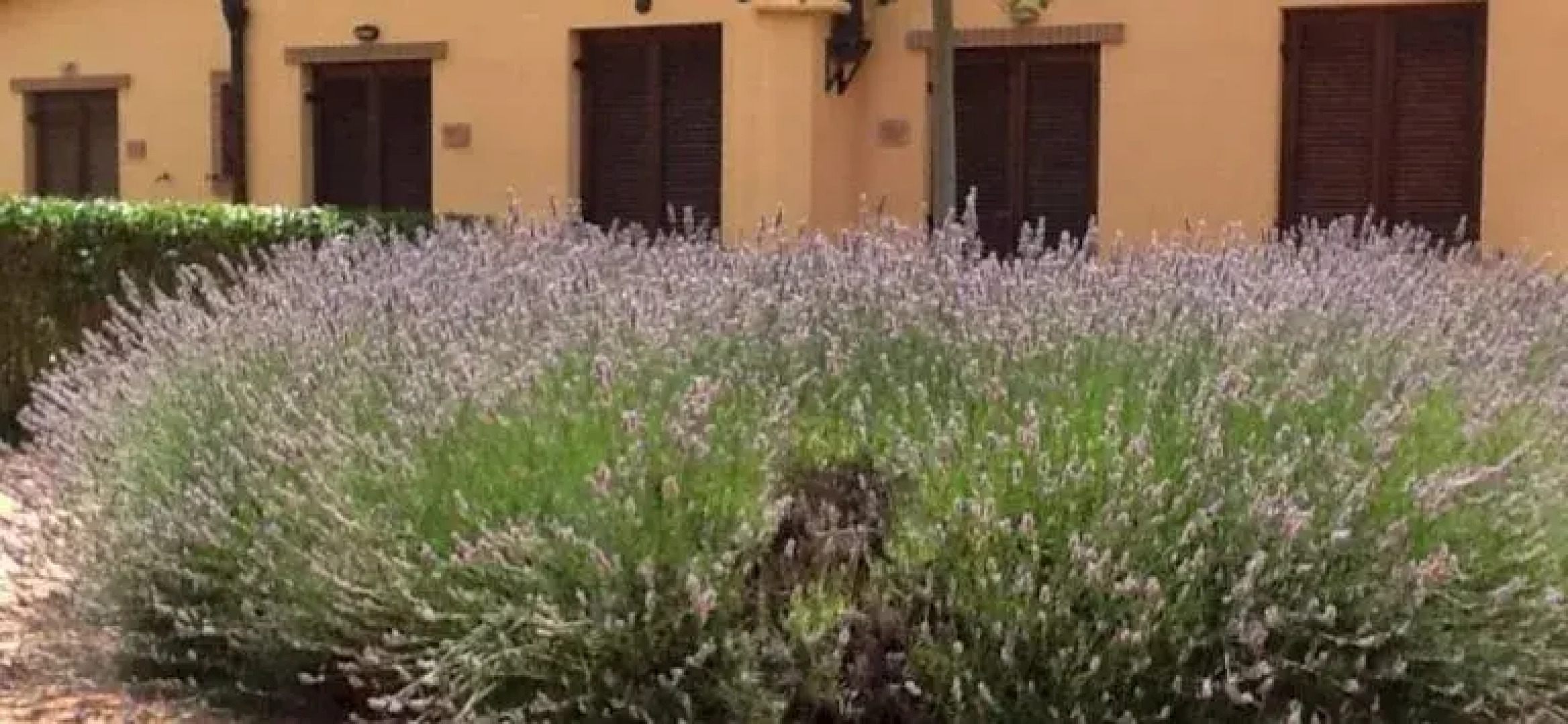 Residence Borgo Alto