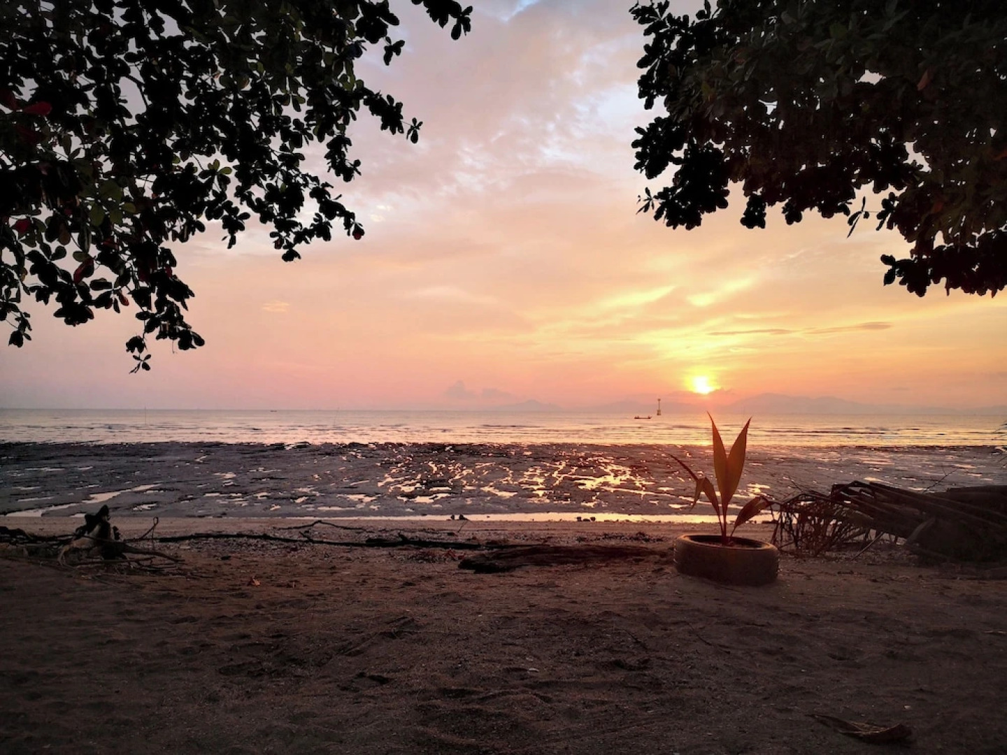 Putra Brasmana Hotel