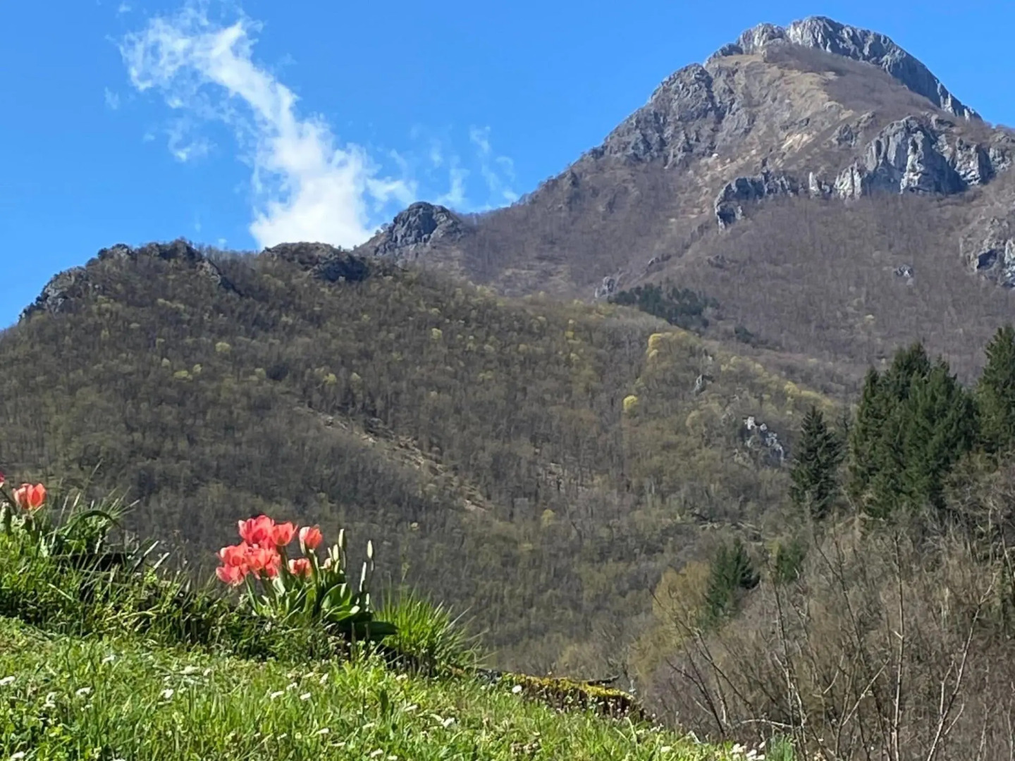 Graceful Cottage in Vergemoli with Private Fenced Garden