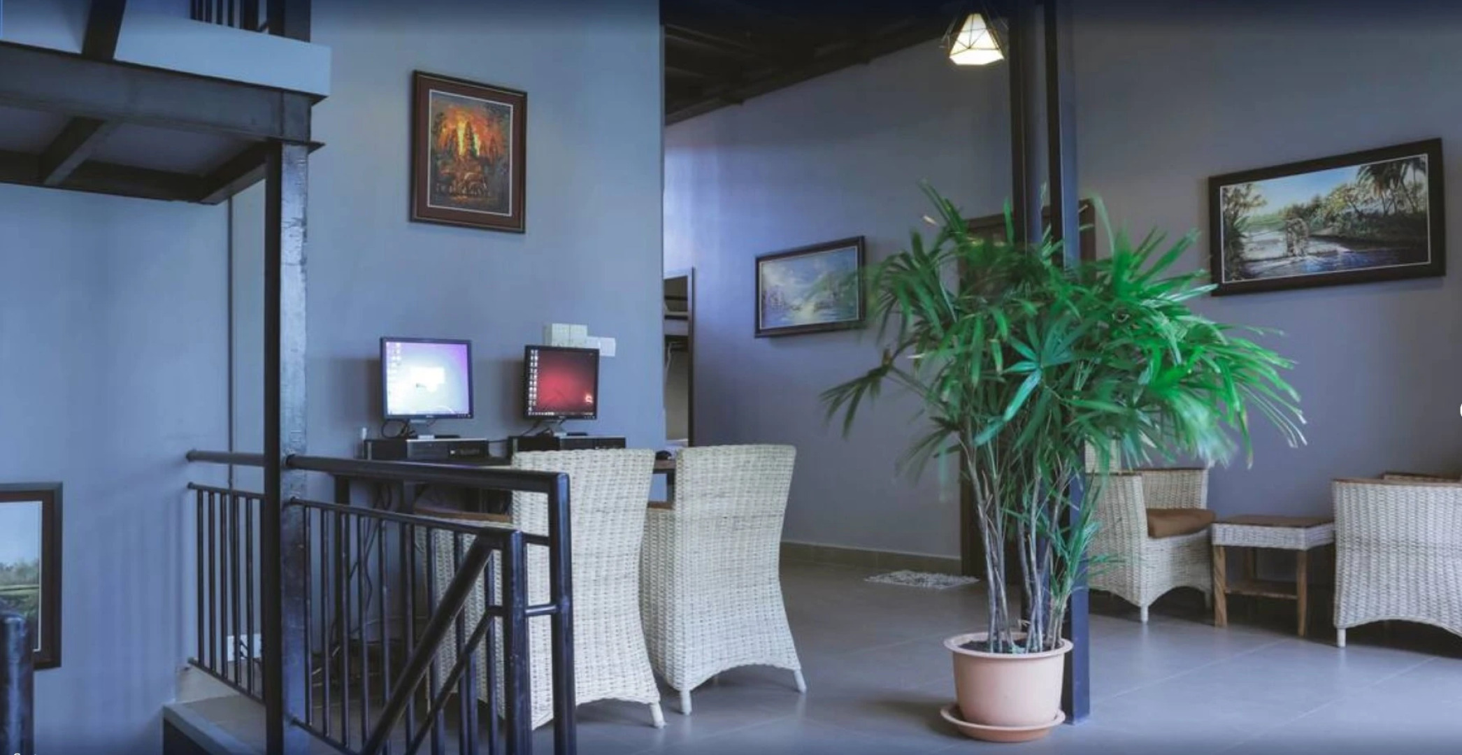 Feliz Hostel Cafe & Bar