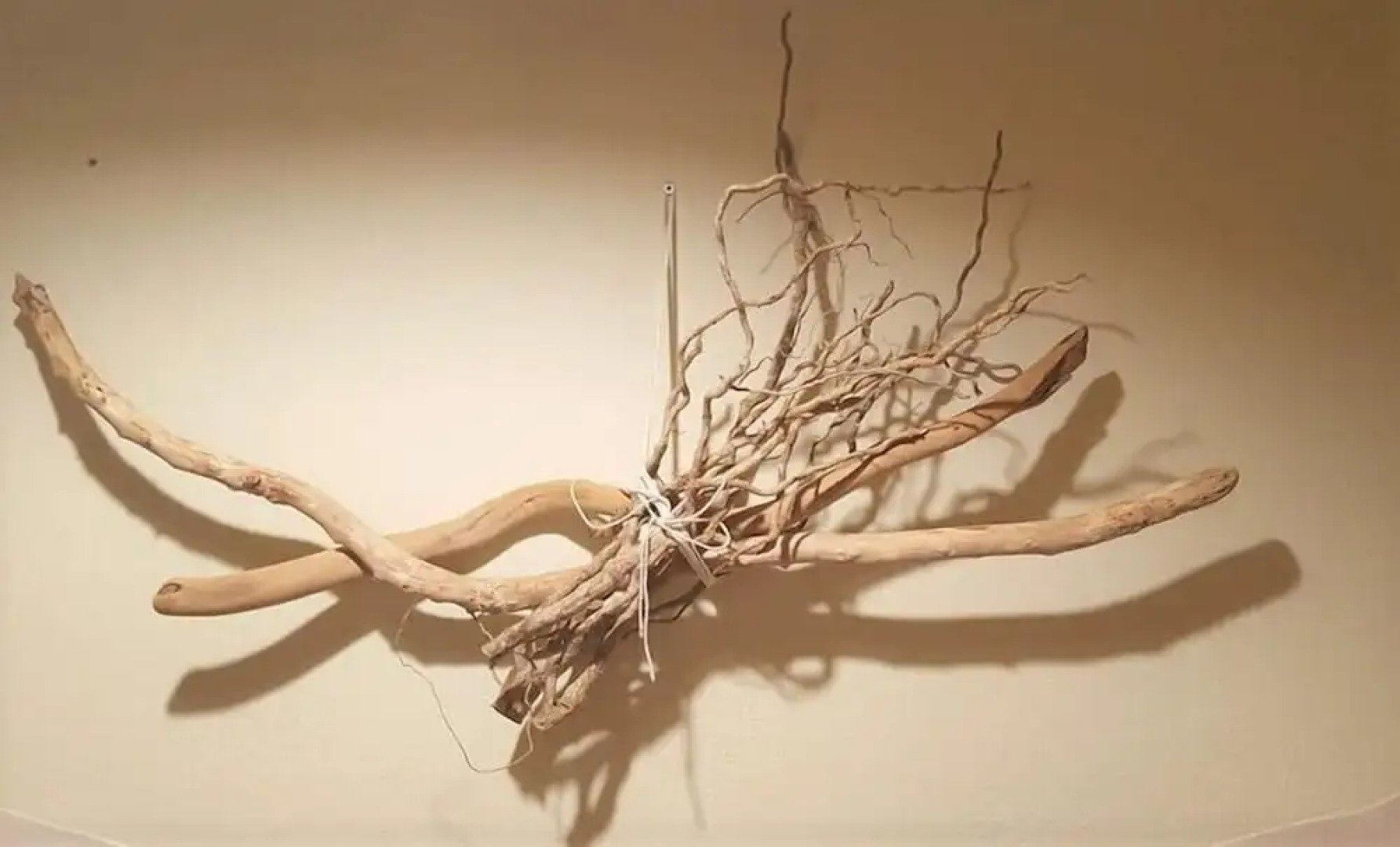 Victoria's Country Apartments