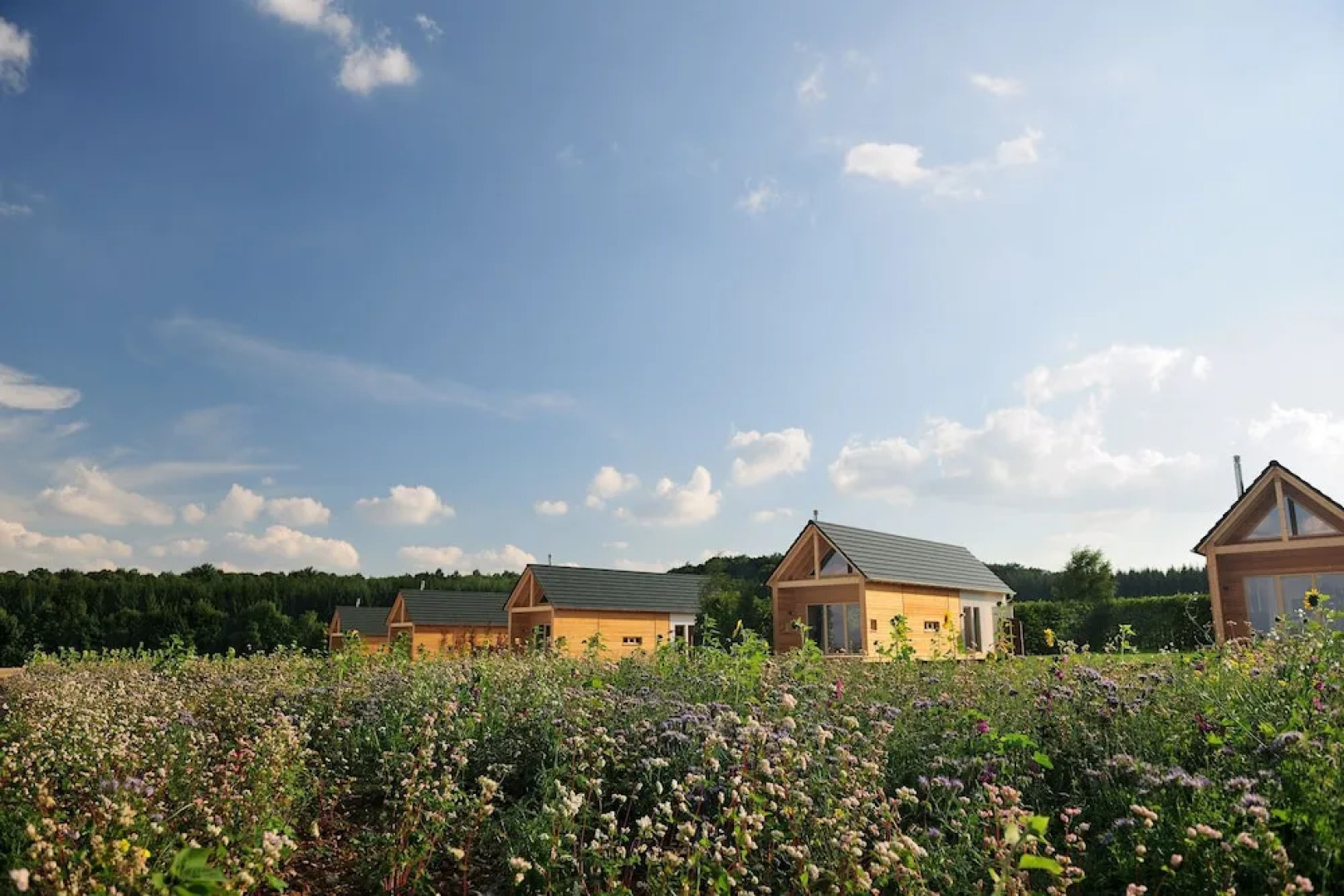 Hainichhöfe Premiumchalets