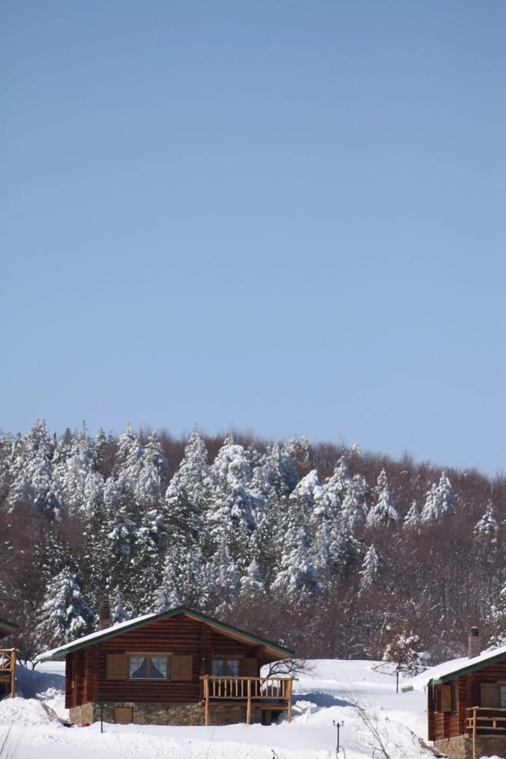 Sfendamos Wood Village