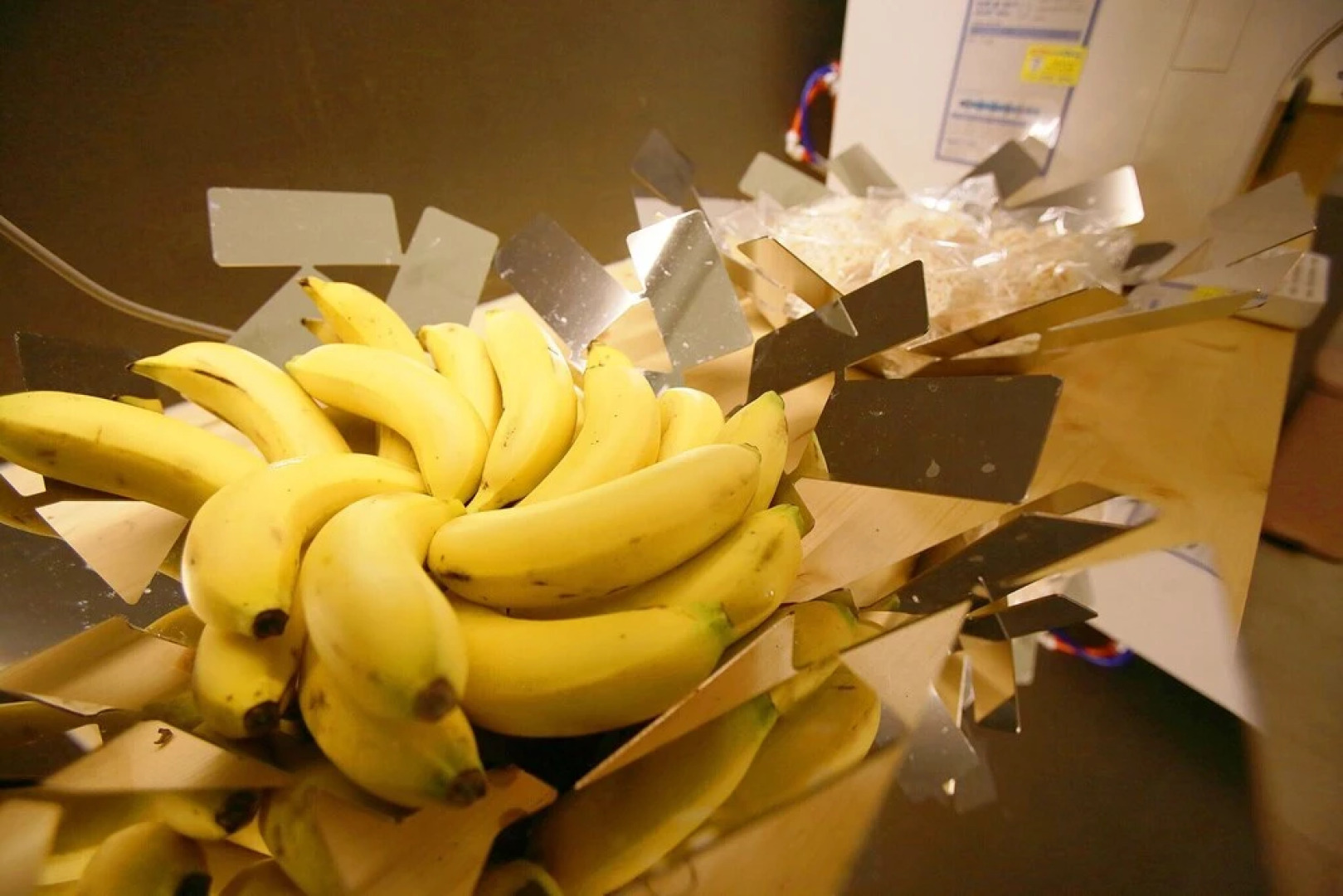 Osan Bellino S Hotel