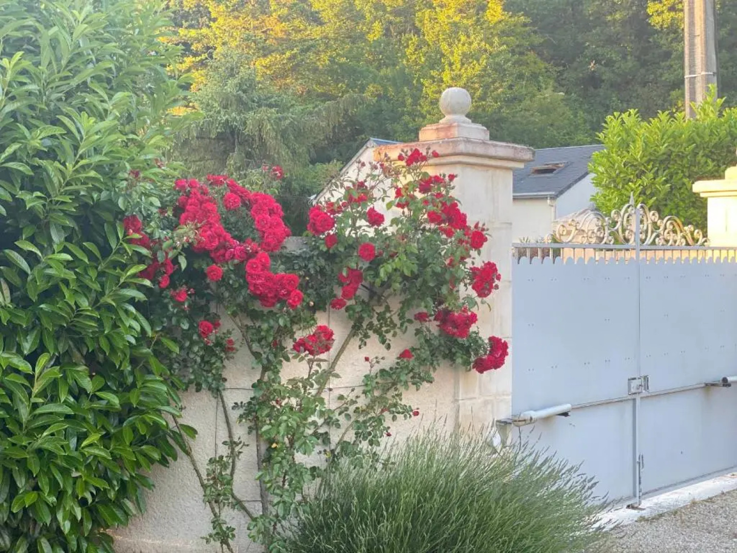 la Chambre des Dames