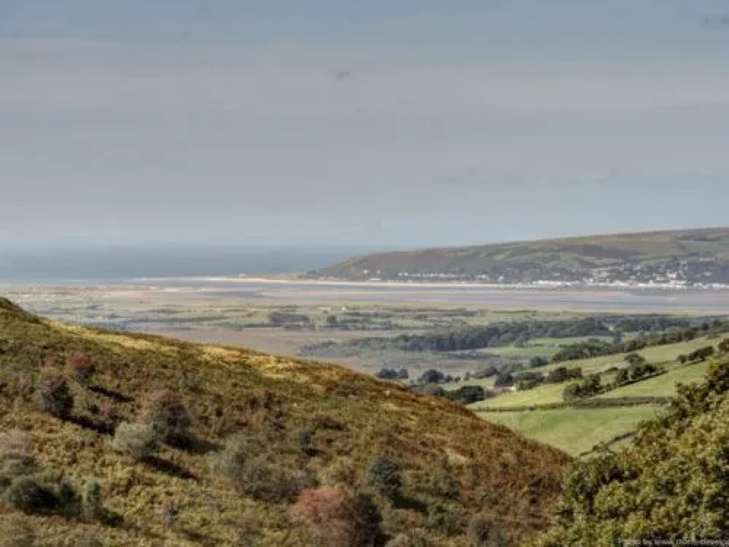 House Helyg Le Barcari?s