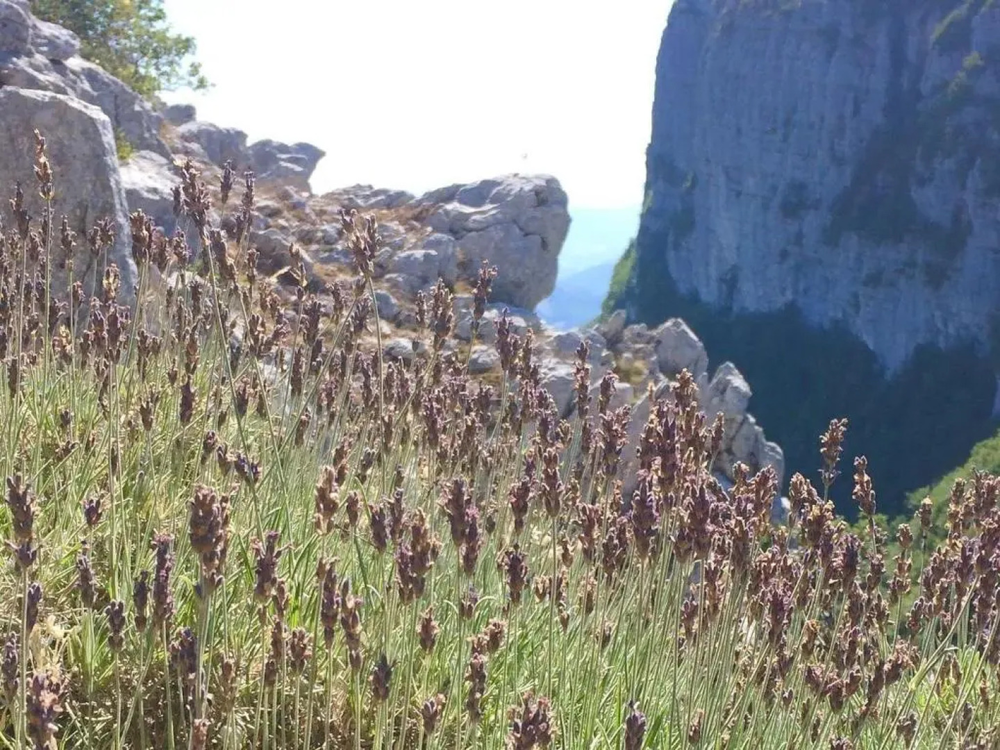 BabbaroHouse - casa vacanza