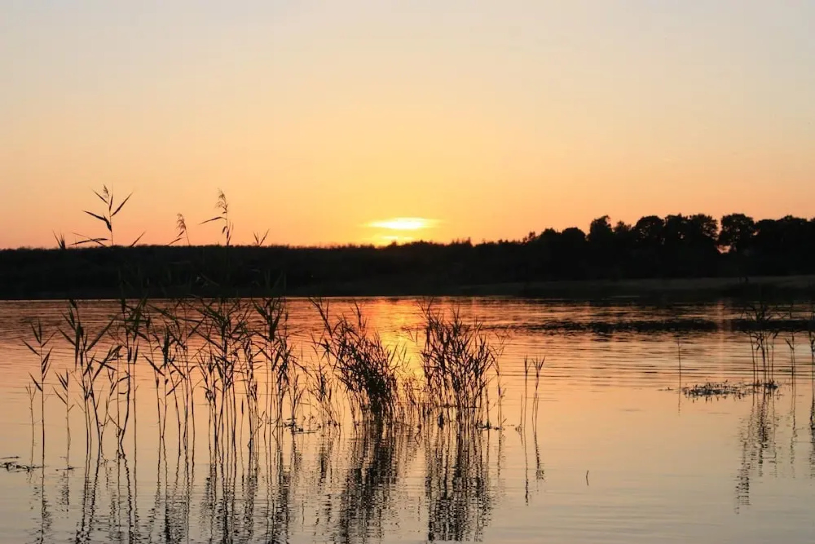 Ferienwohnung A.Böhland