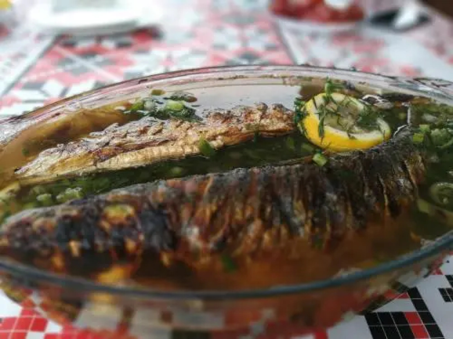 Agropensiunea Valea Fagilor